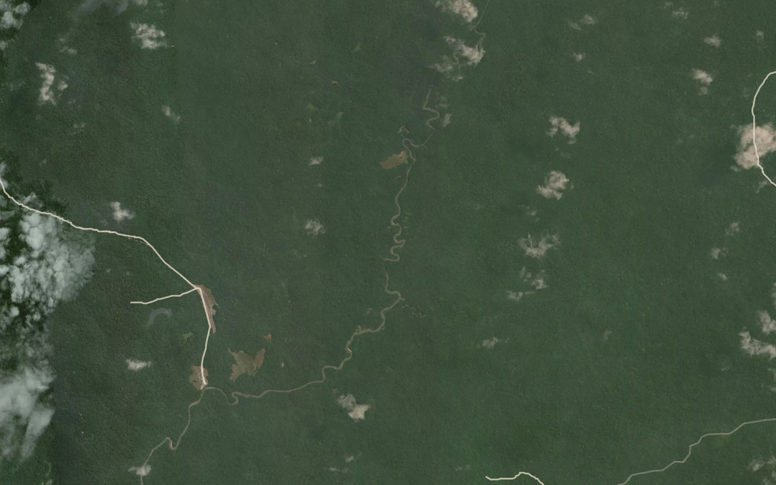 Boambo