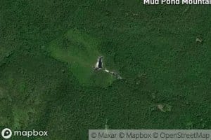 Mud Pond