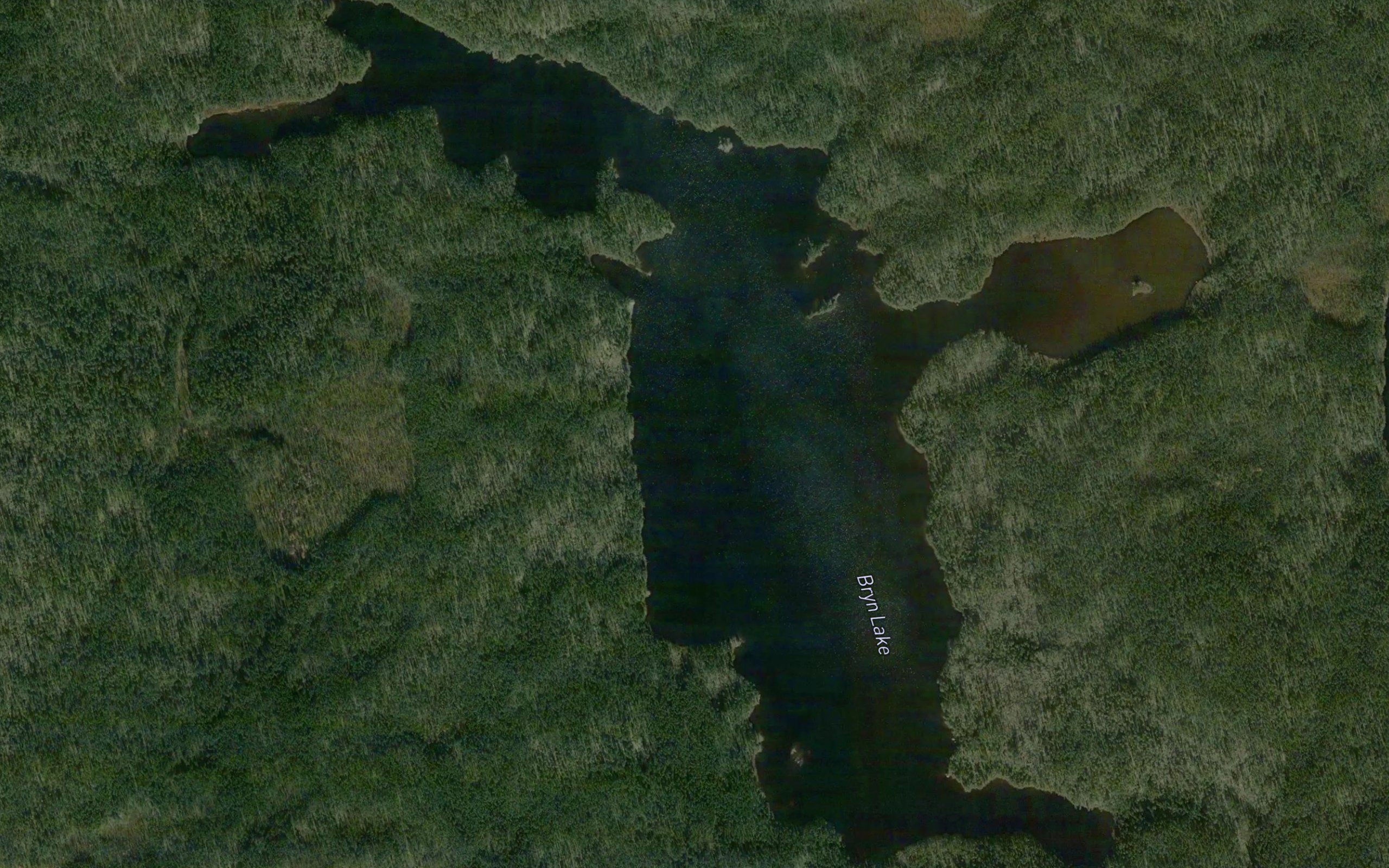 Bryn Lake