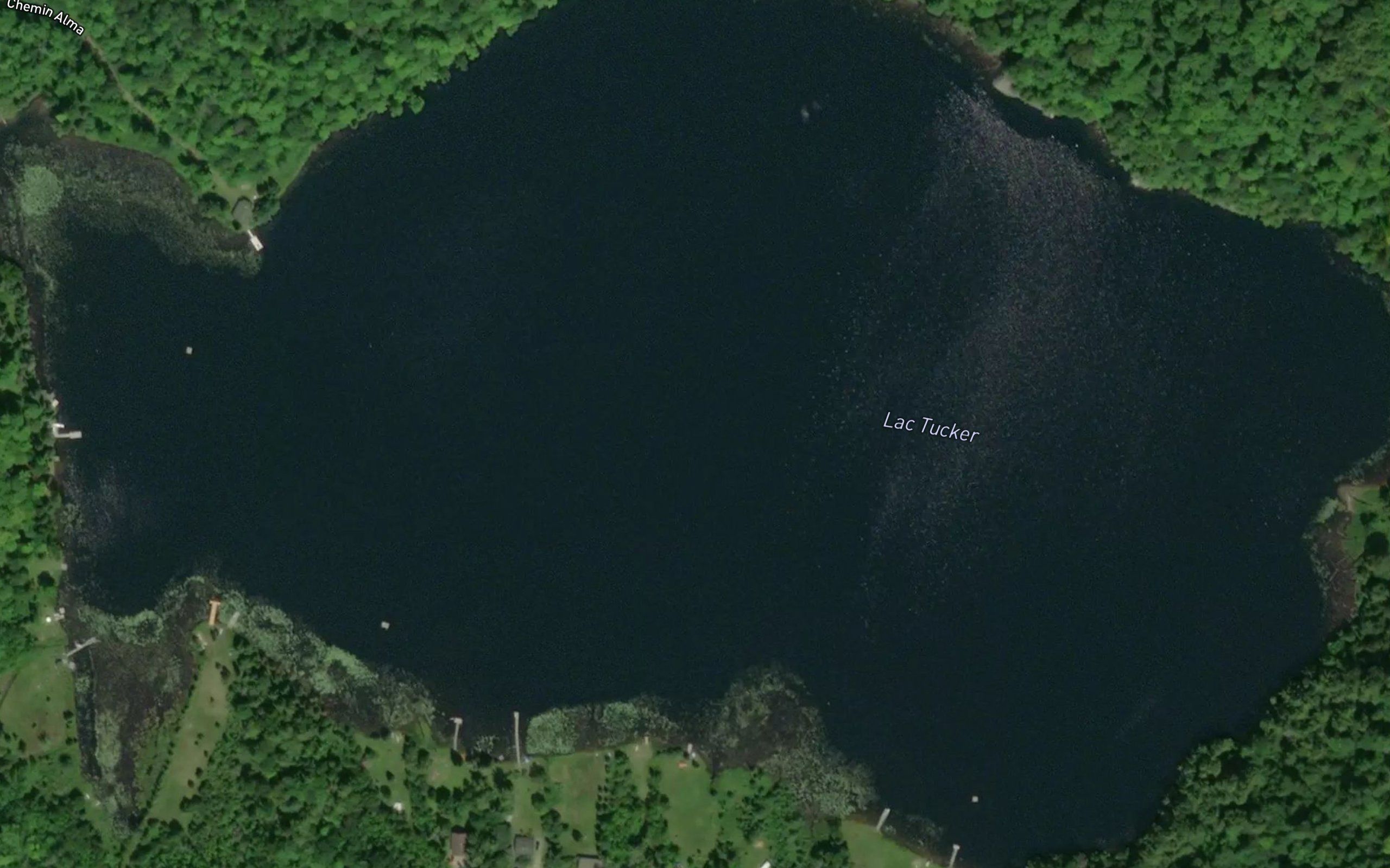 Lac Tucker