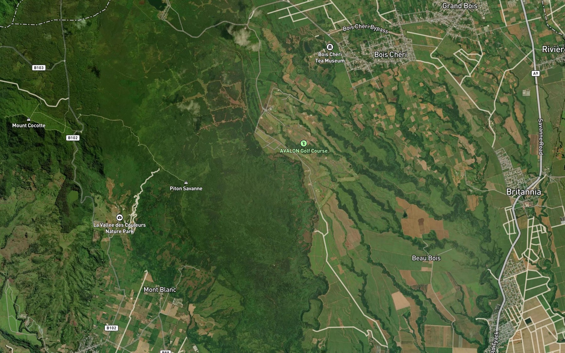 Satellite map of the Riviere Mon Tresor