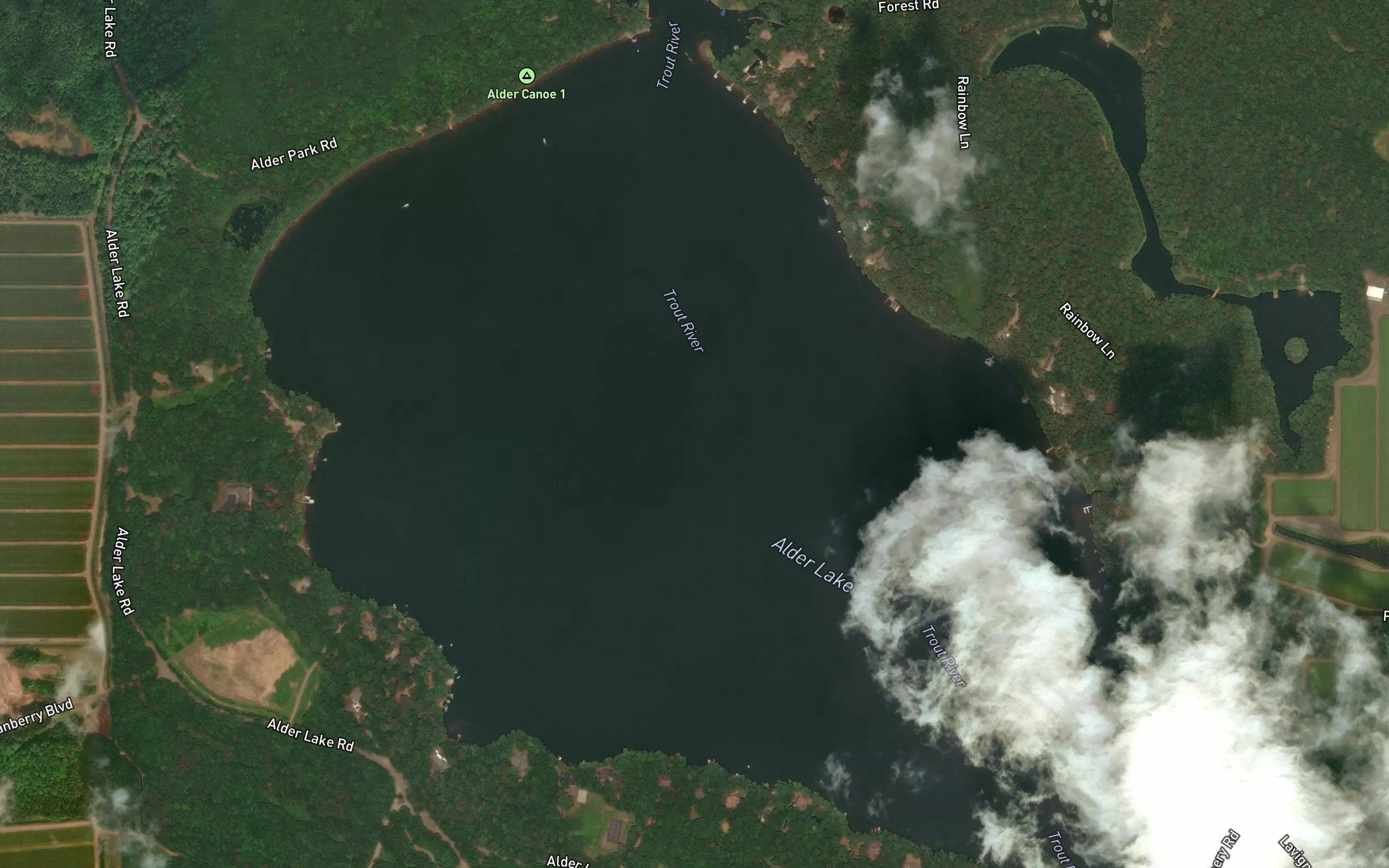 Alder Lake