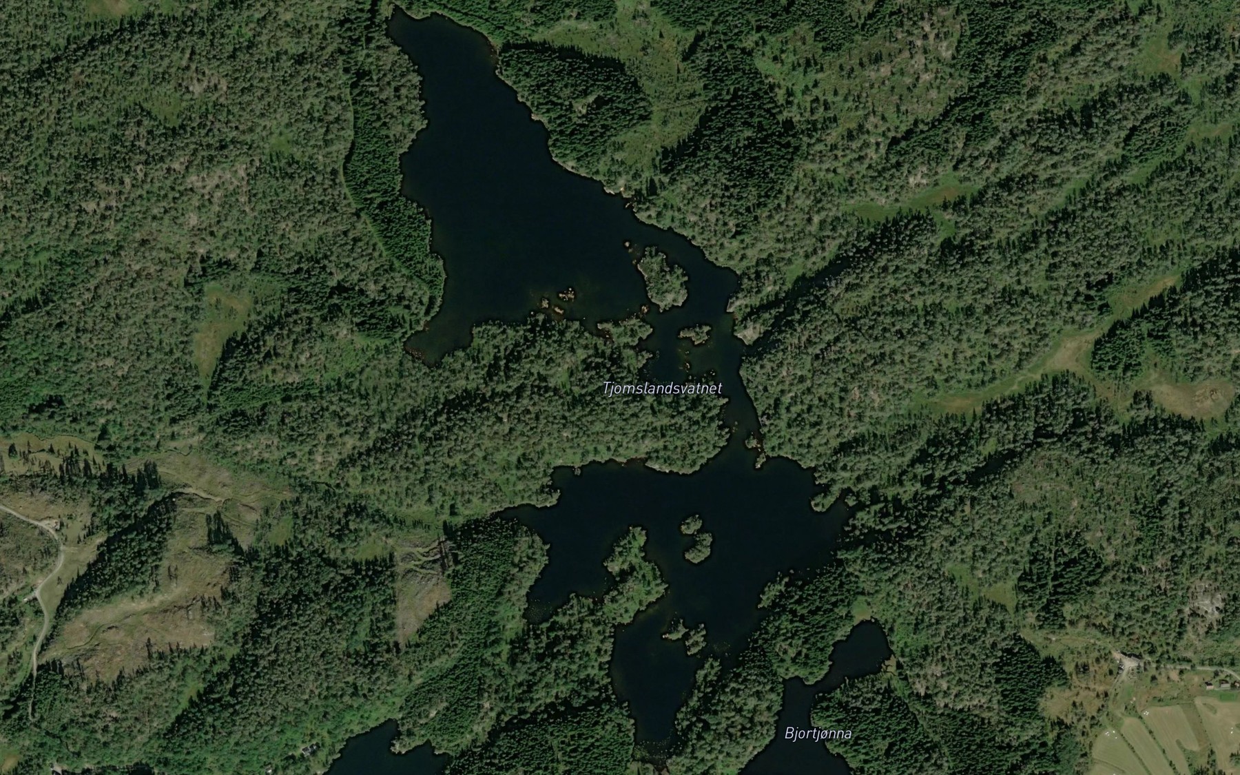 Satellite map of the Tjomslandsvannet