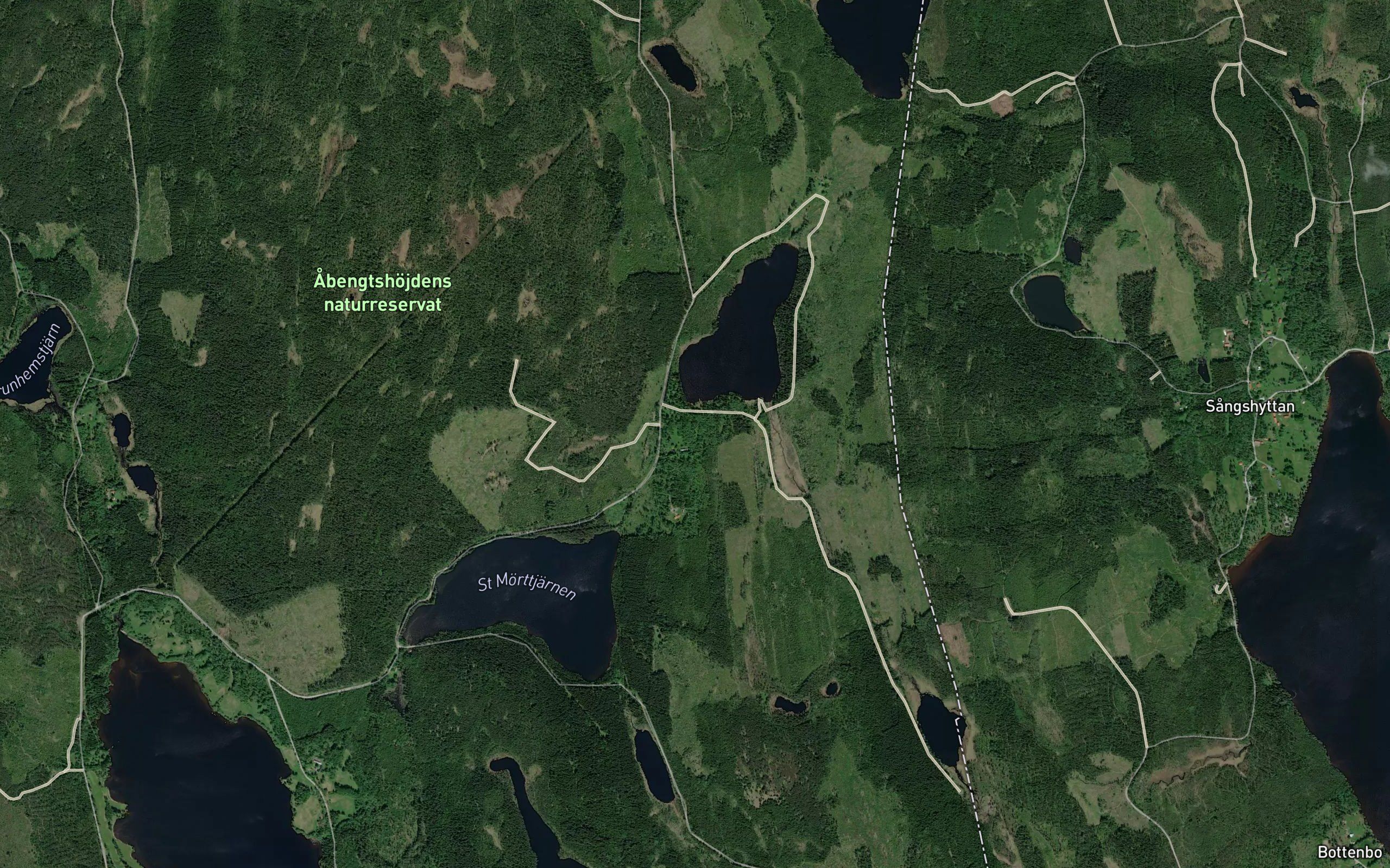 Svenstjarn