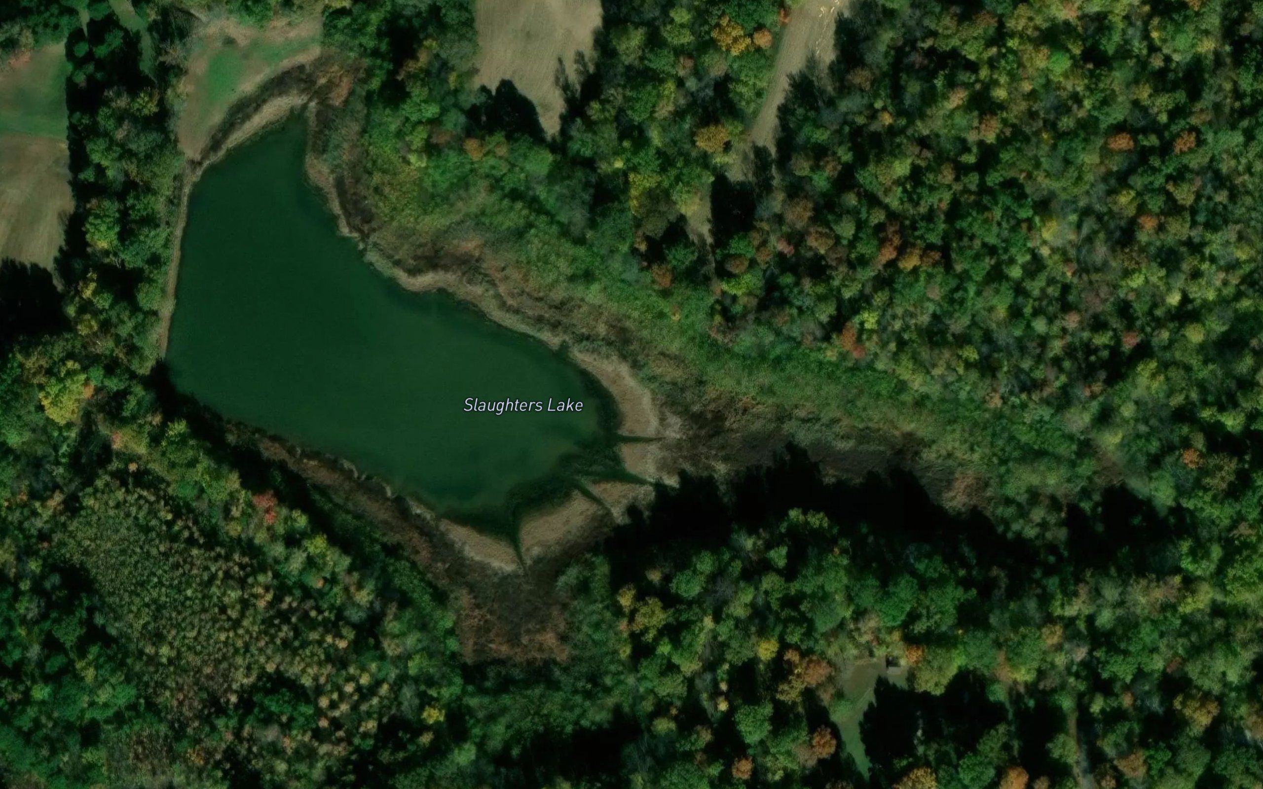 Slaughters Lake