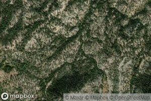 Tamarack Creek