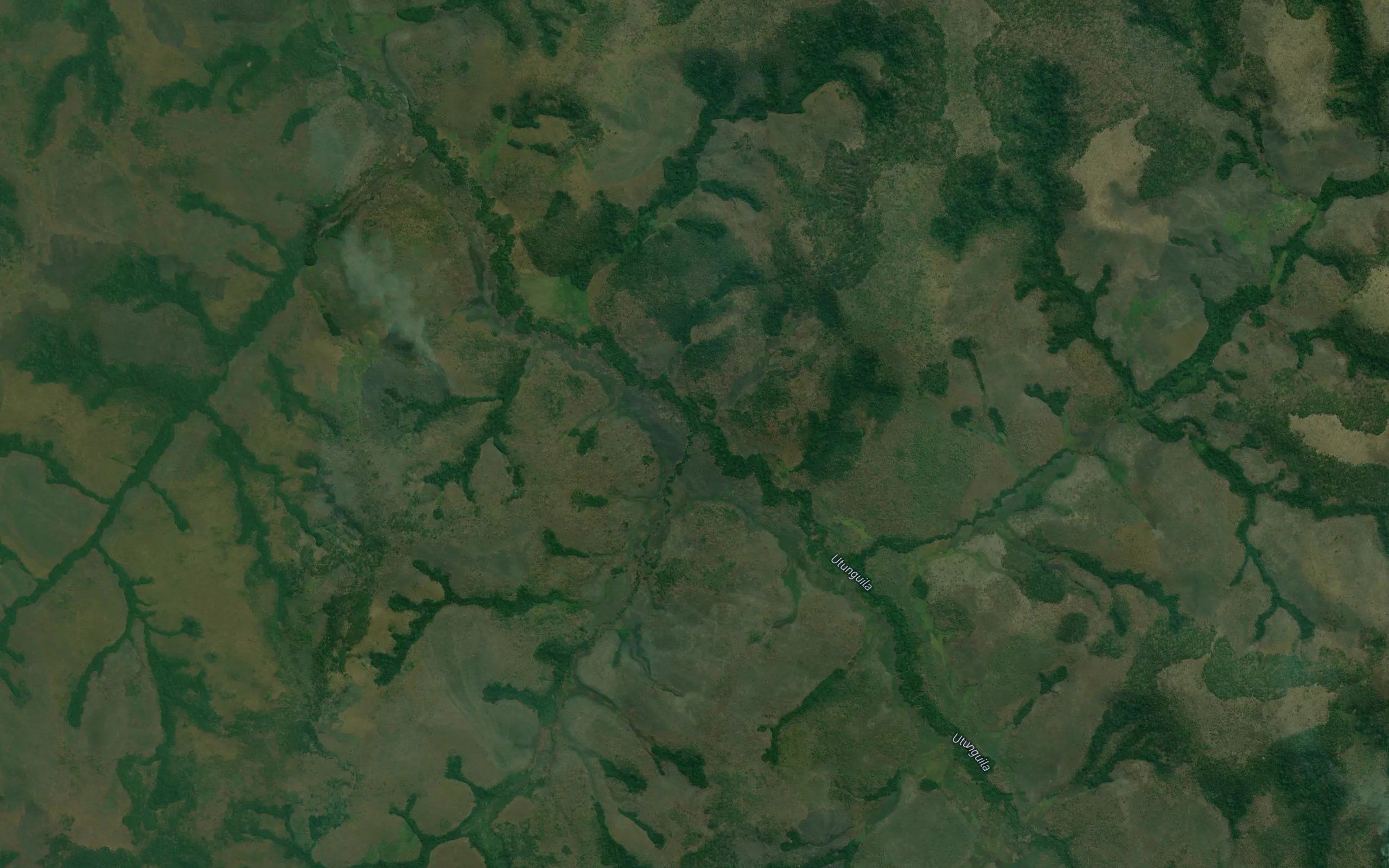 Nzagi