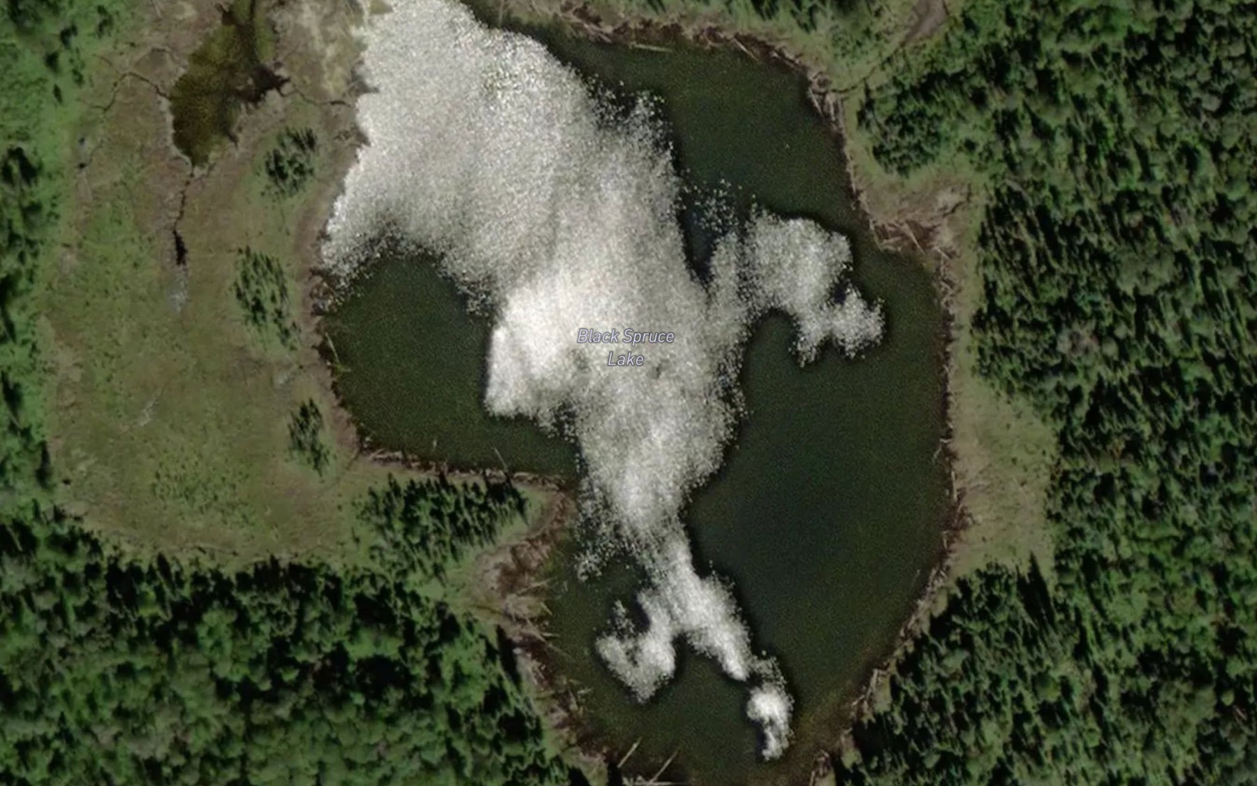 Satellite map of the Black Spruce Lake