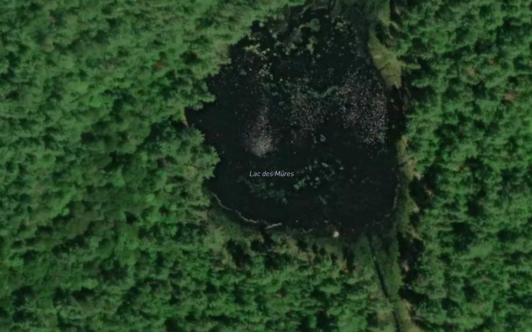 Satellite map of the Lac des Mures