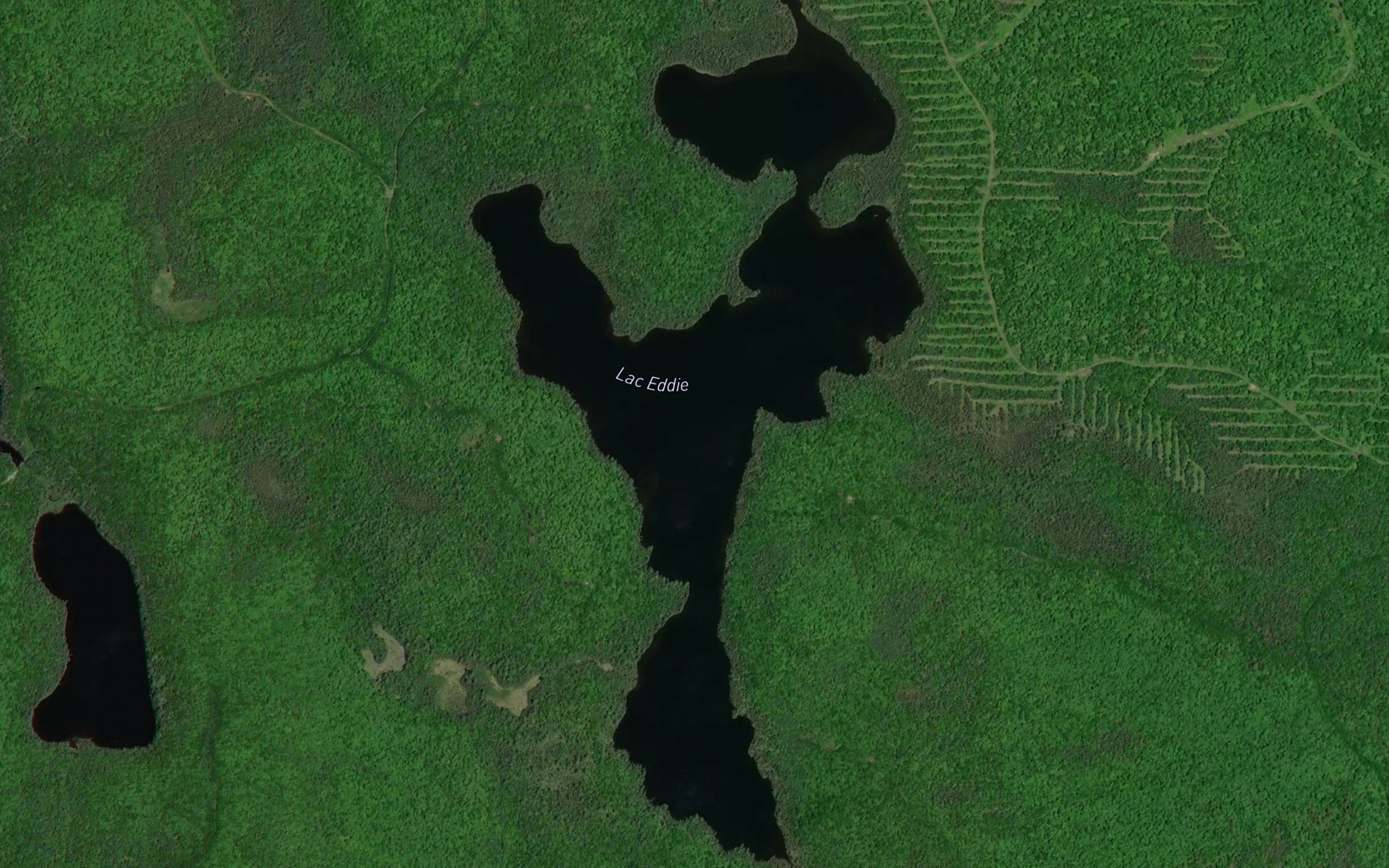 Satellite map of the Lac Eddie