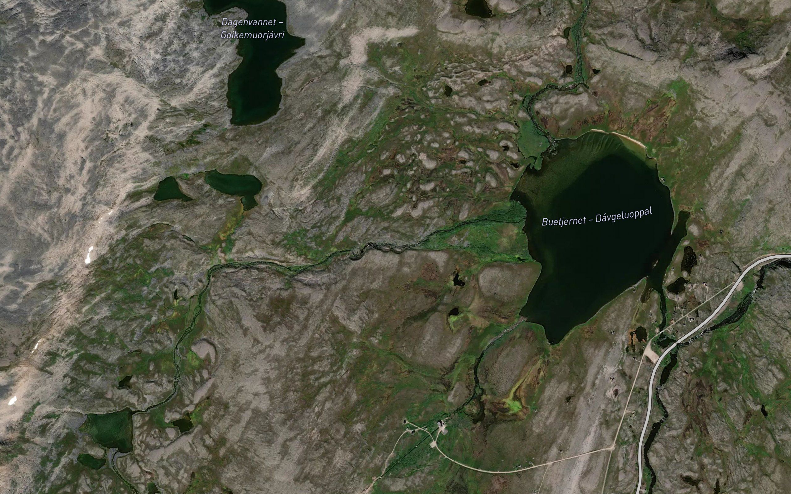 Buevasselva