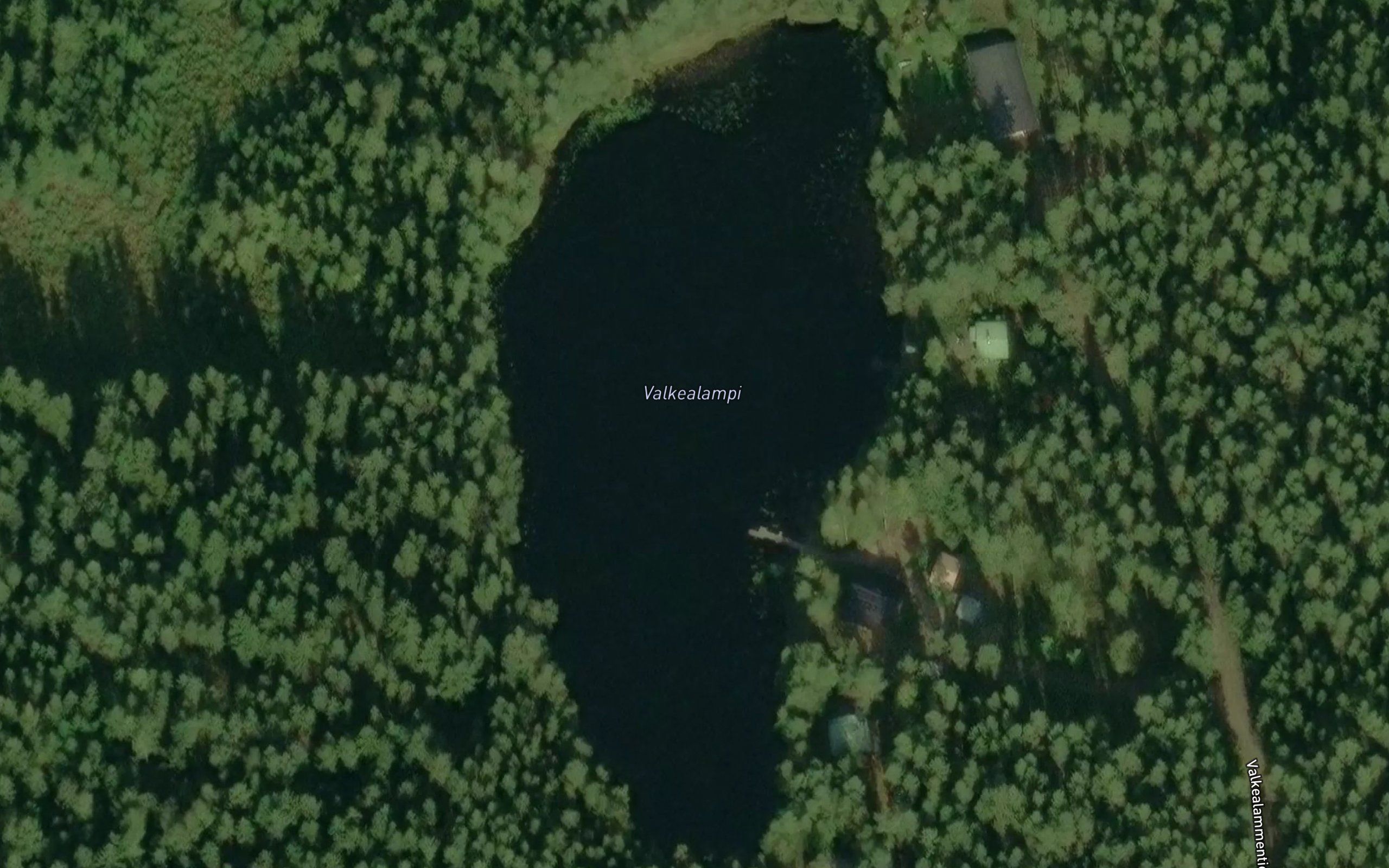 Valkealampi