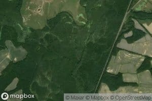 Marsh Swamp