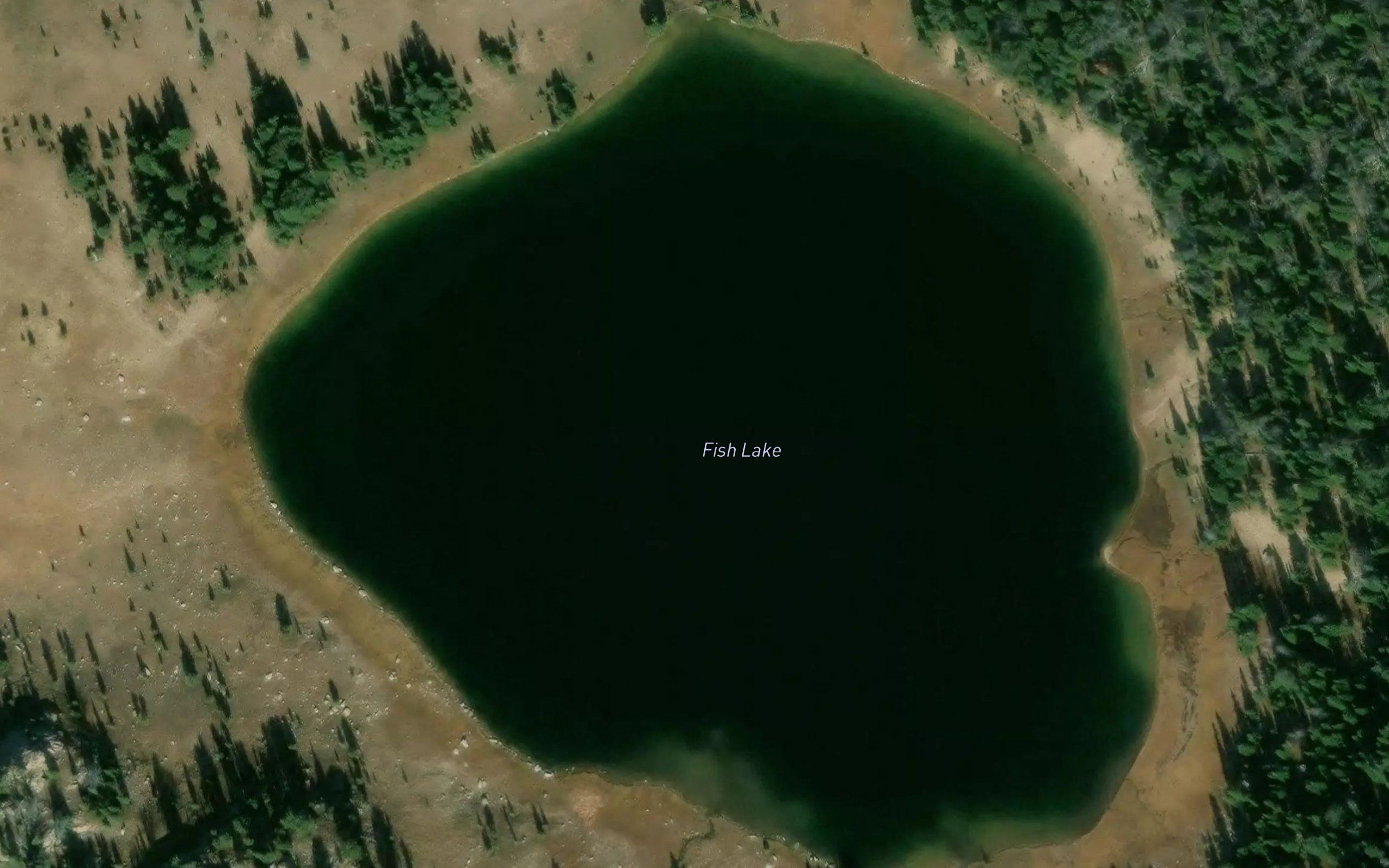 Fish Lake