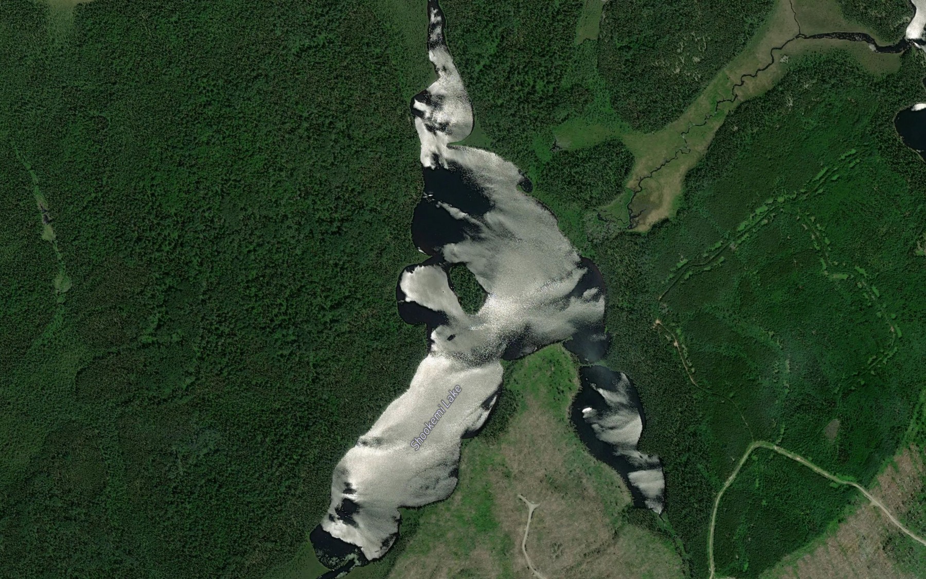 Satellite map of the Shookemi Lake