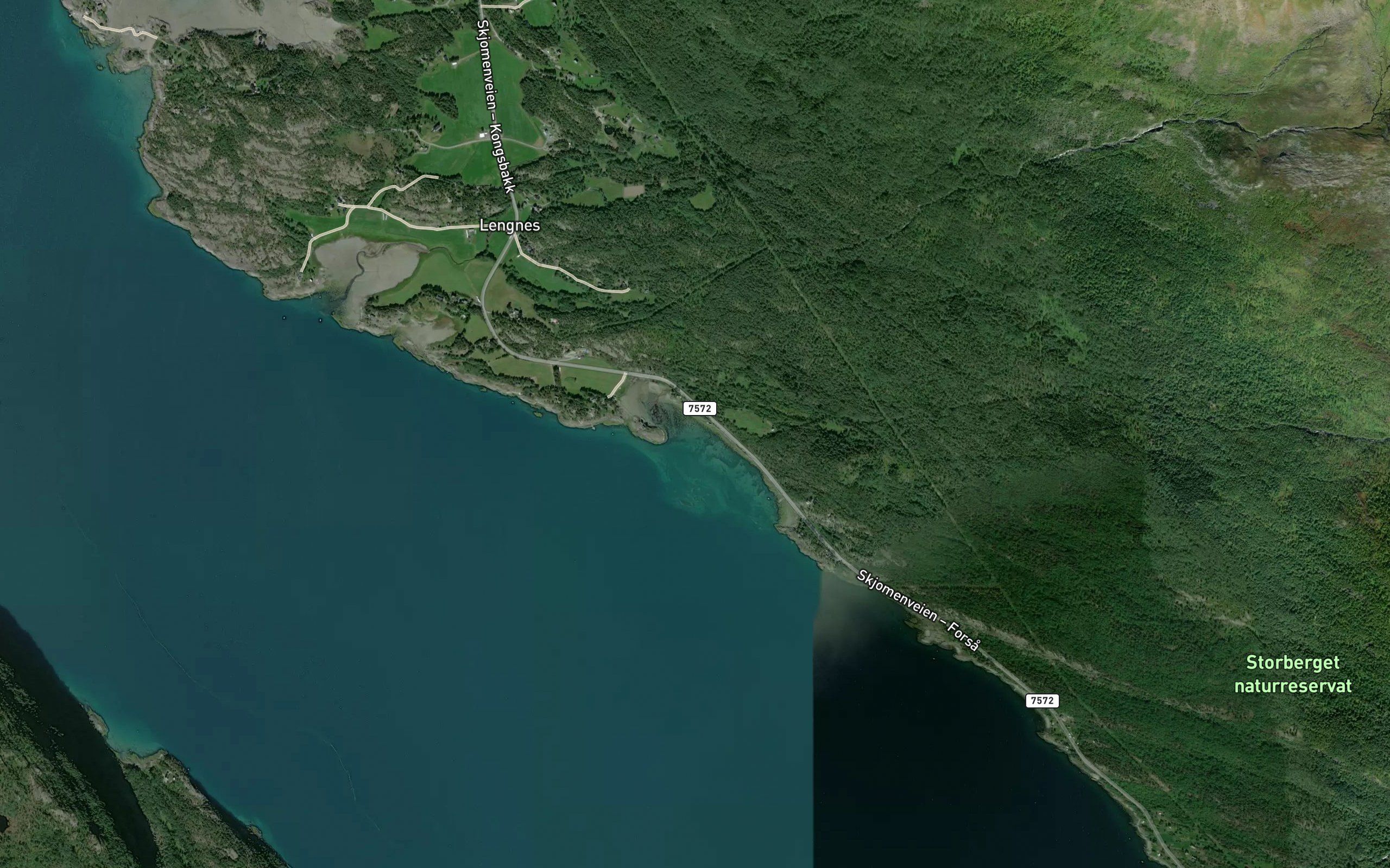 Kobbesteinvika