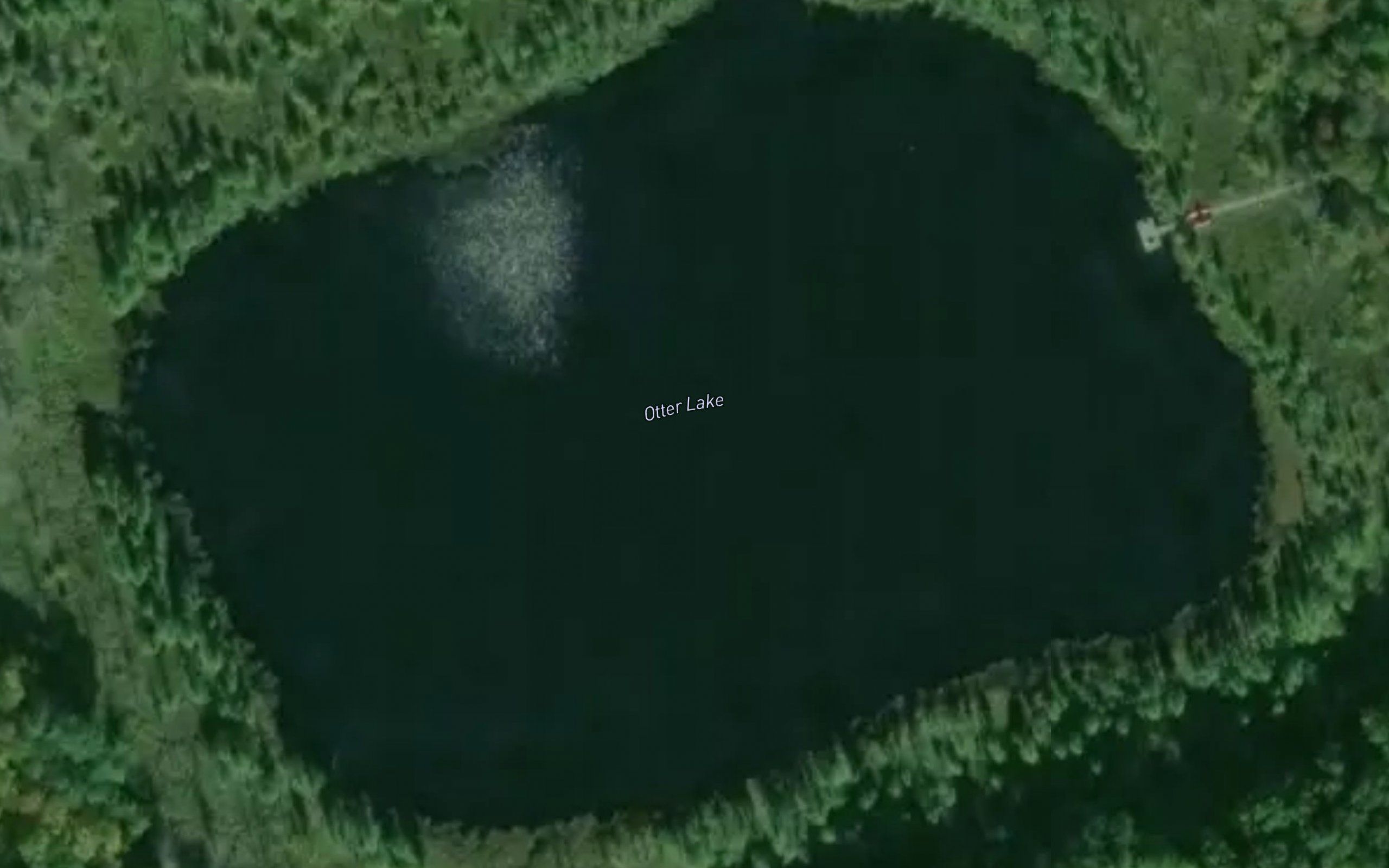 Otter Lake