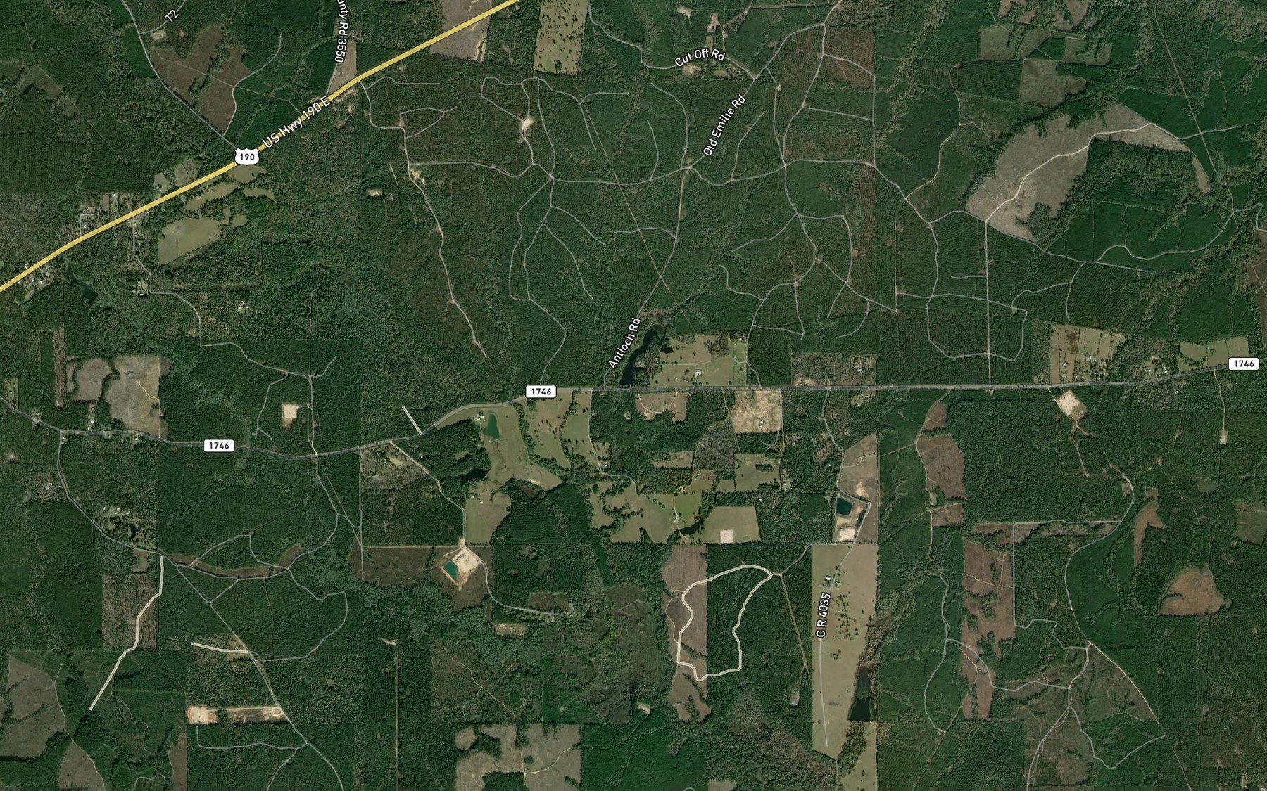 Satellite map of the Birdwell Lake
