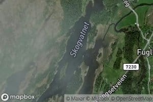 Skogvatnet