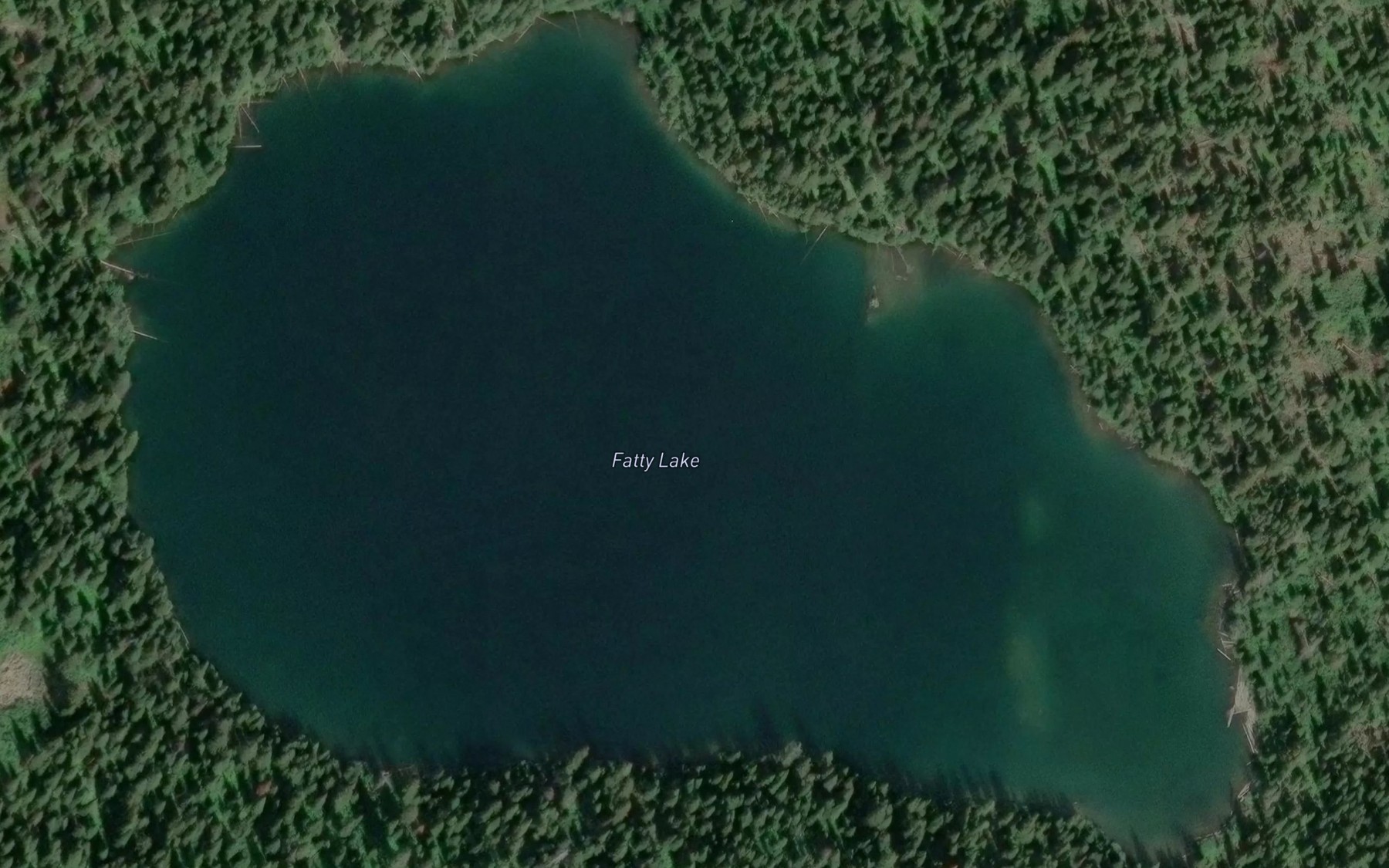 Satellite map of the Fatty Lake