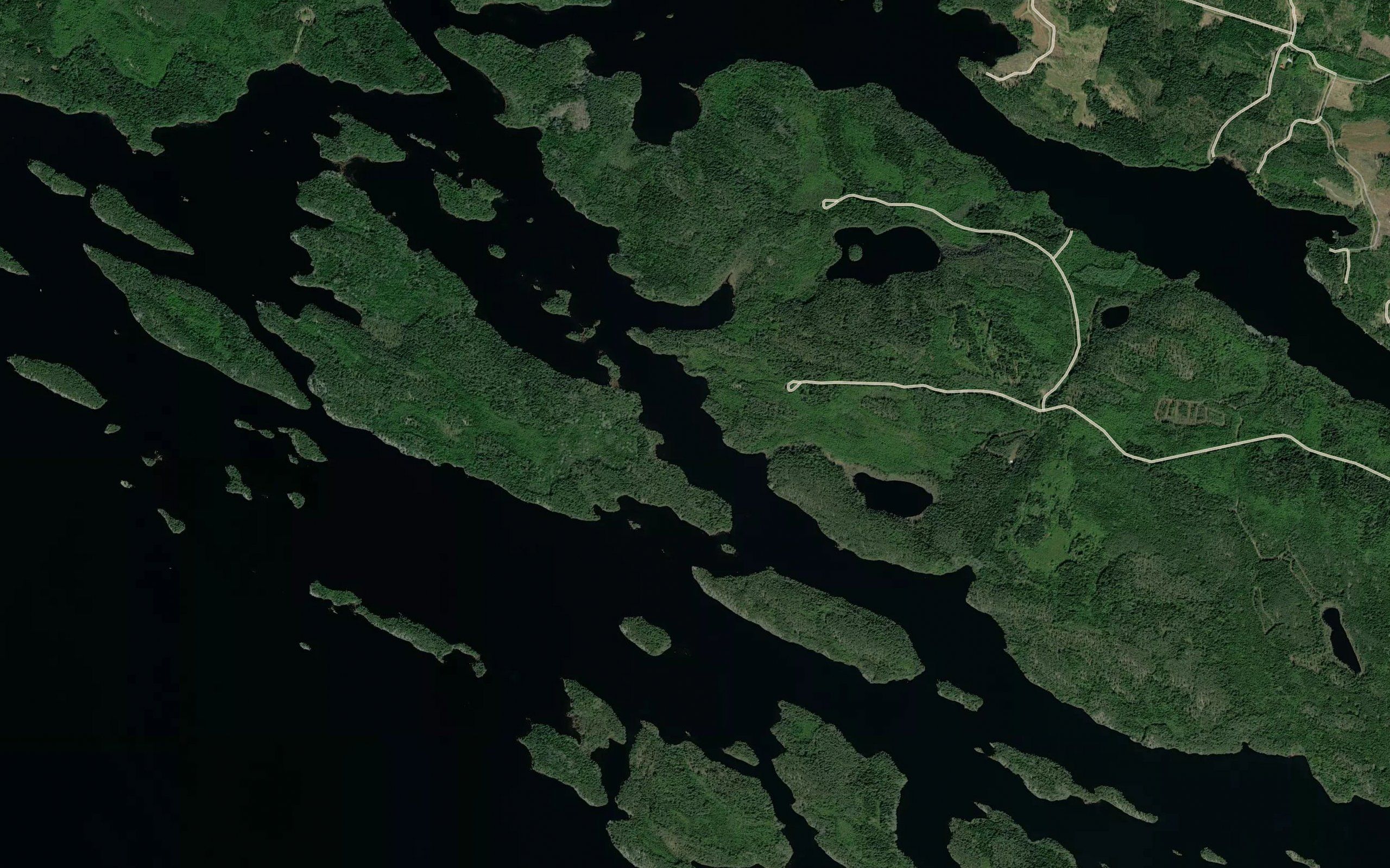 Karsikkovirta