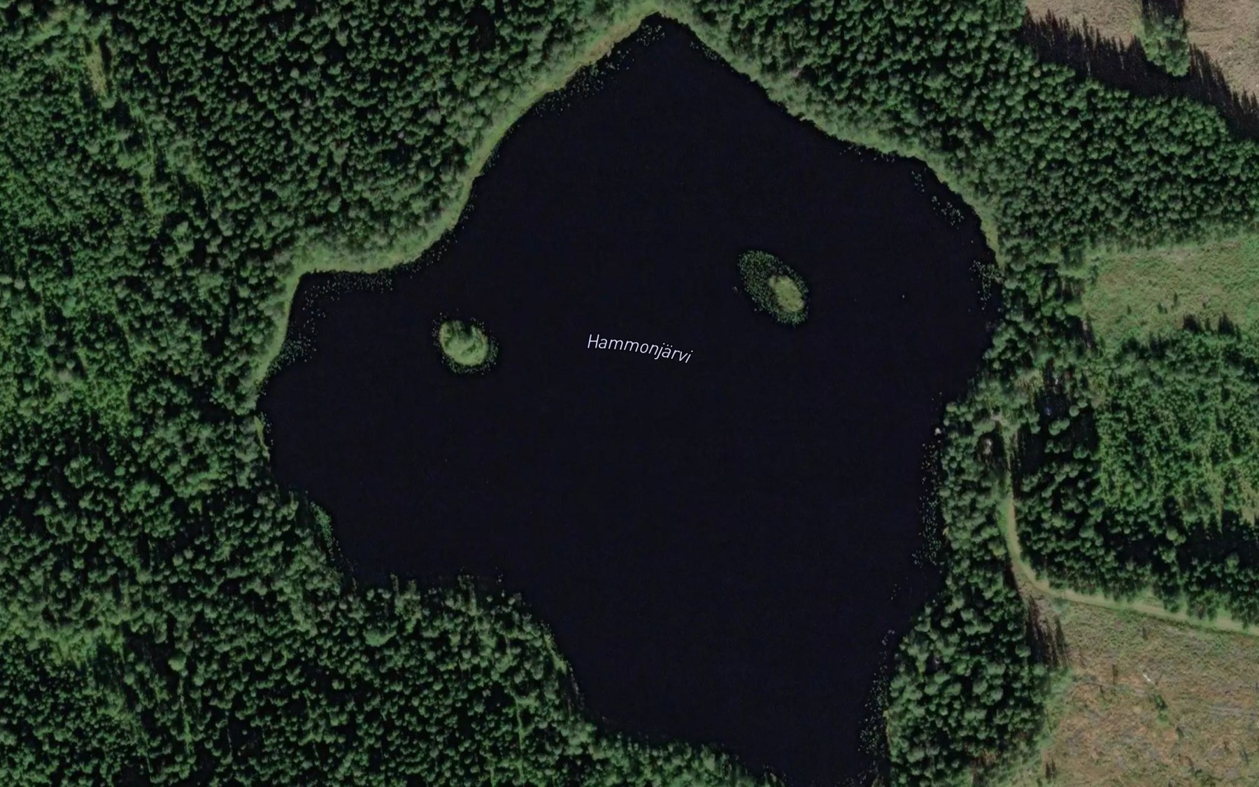 Satellite map of the Hammonjarvi