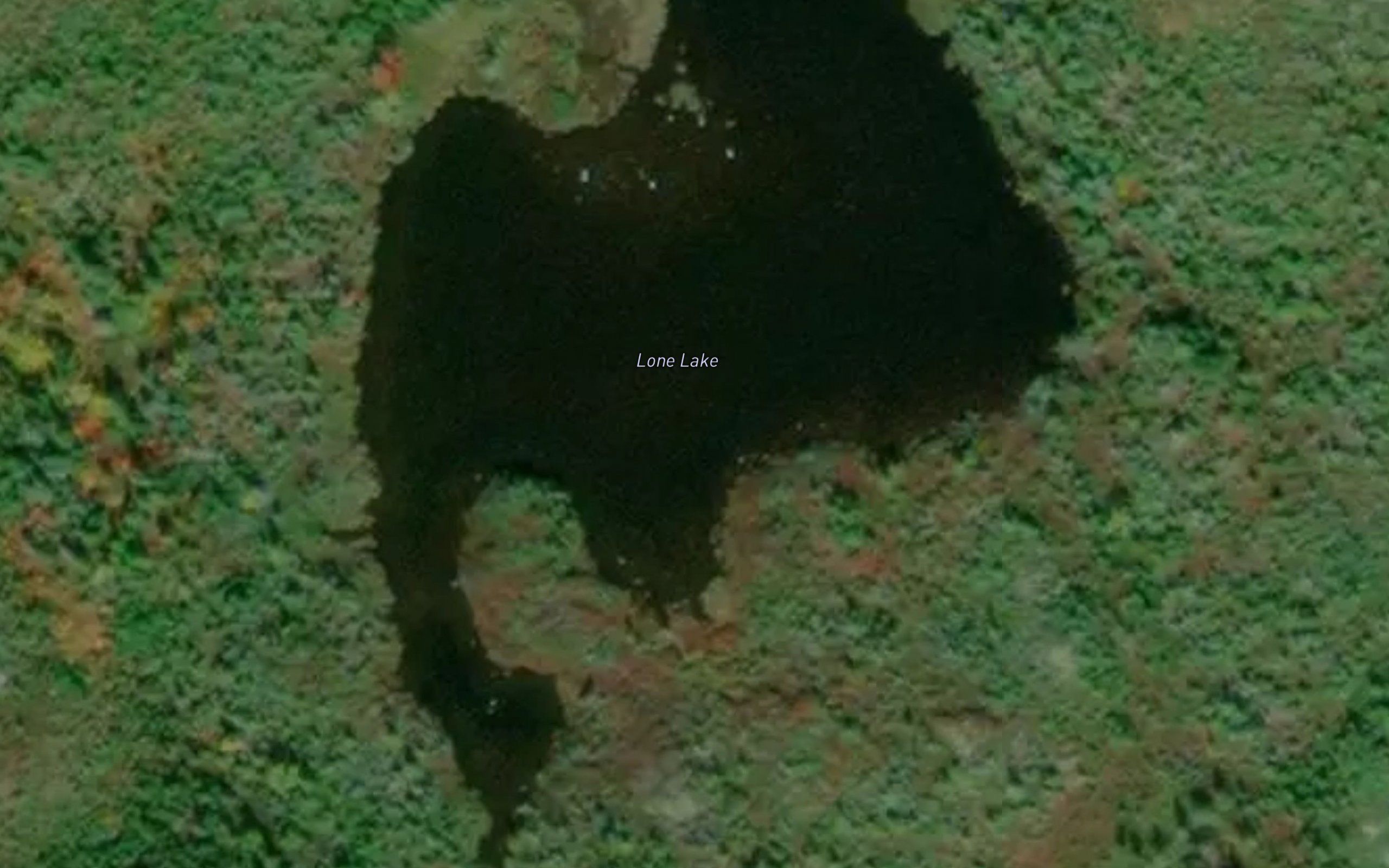 Lone Lake