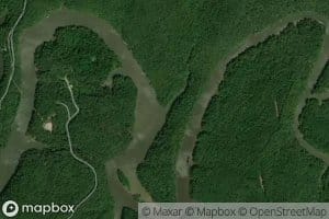 Tinnell Branch