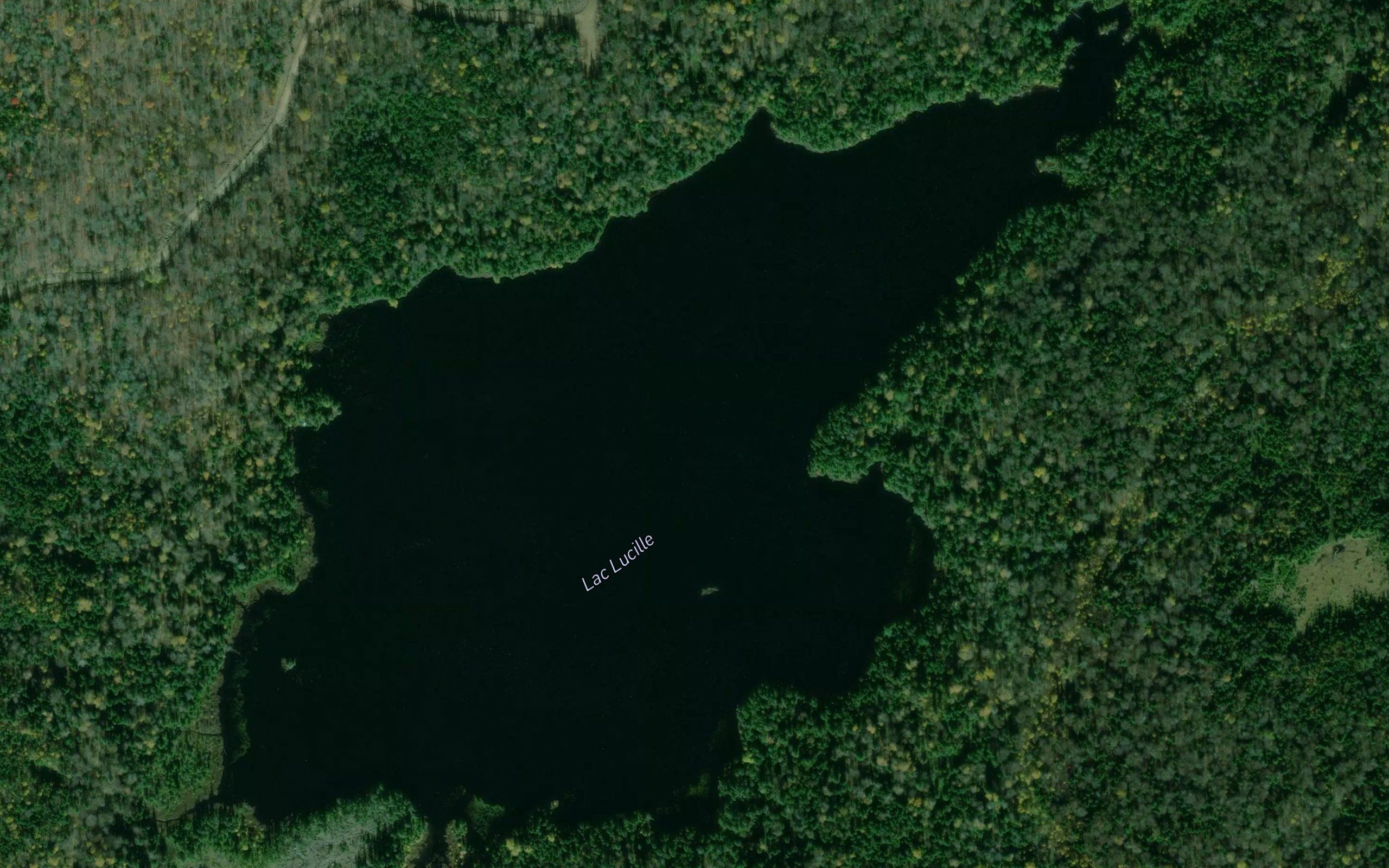 Lac Lucille
