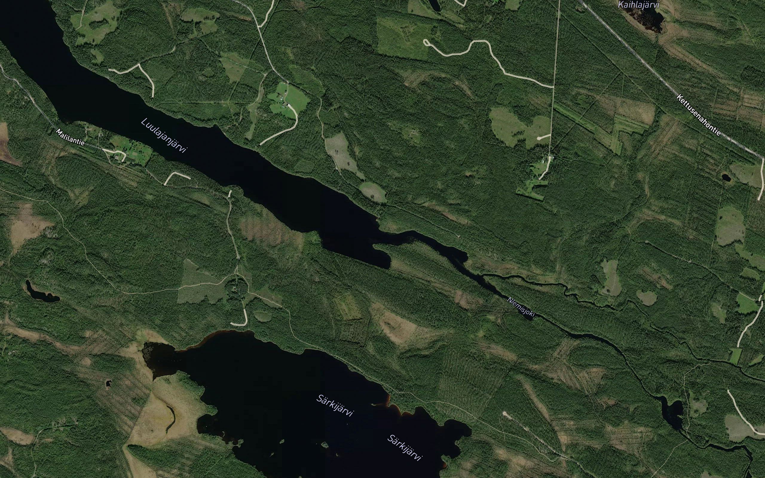 Niemisjoki