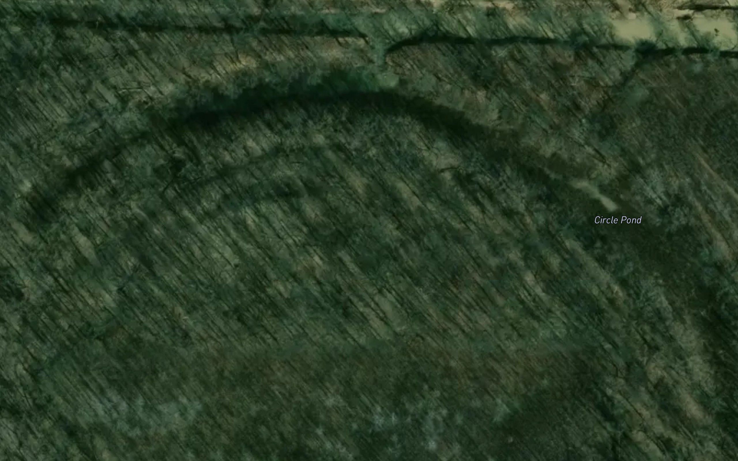 Circle Pond