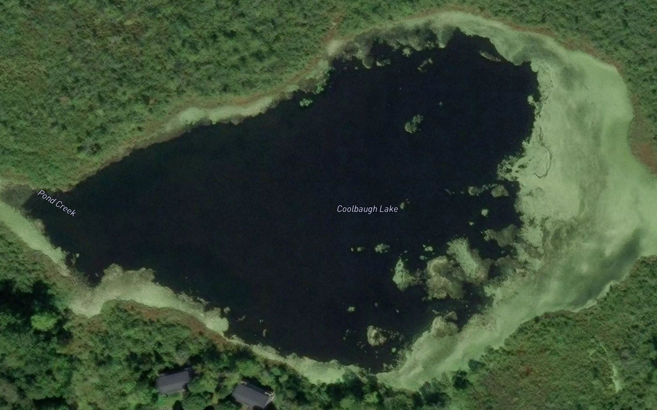 Coolbaugh Lake
