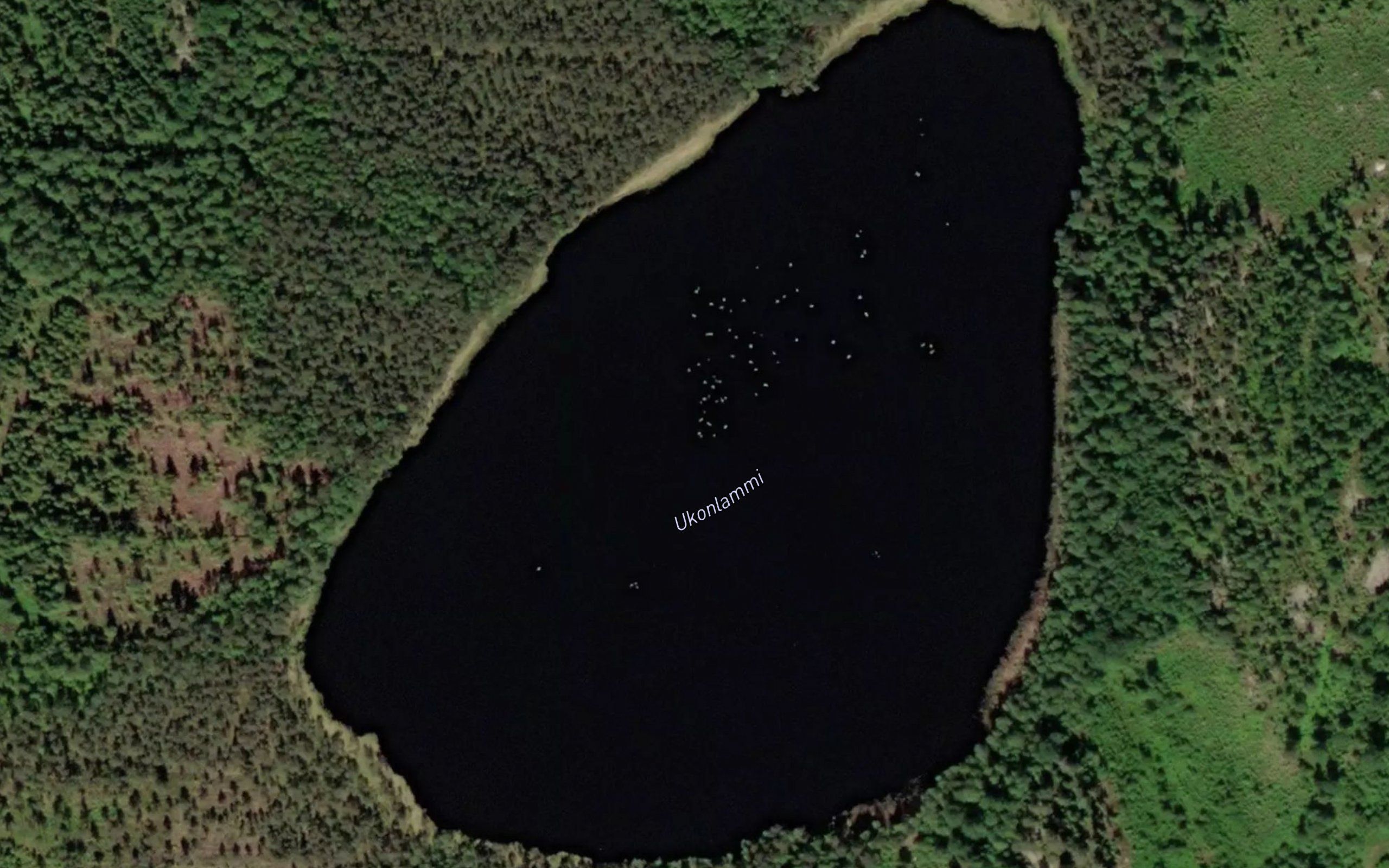 Ukonlammi