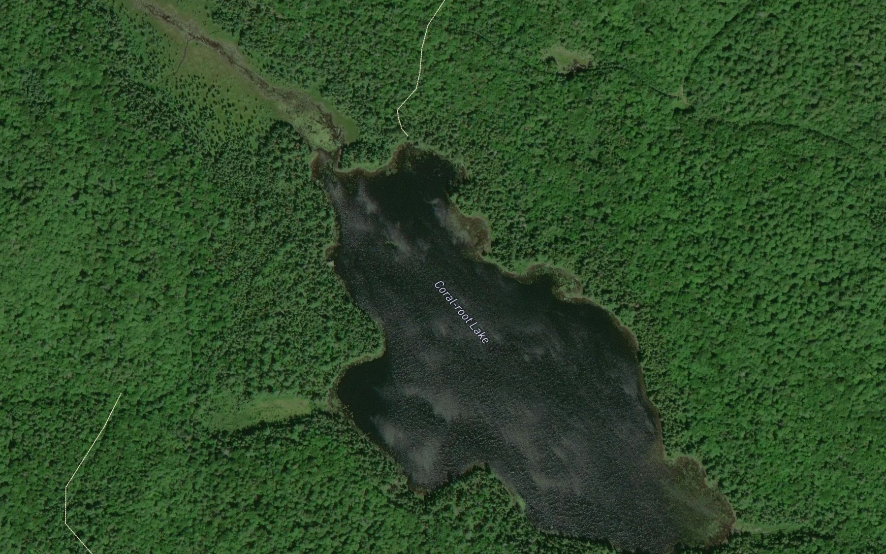 Satellite map of the Coral-root Lake