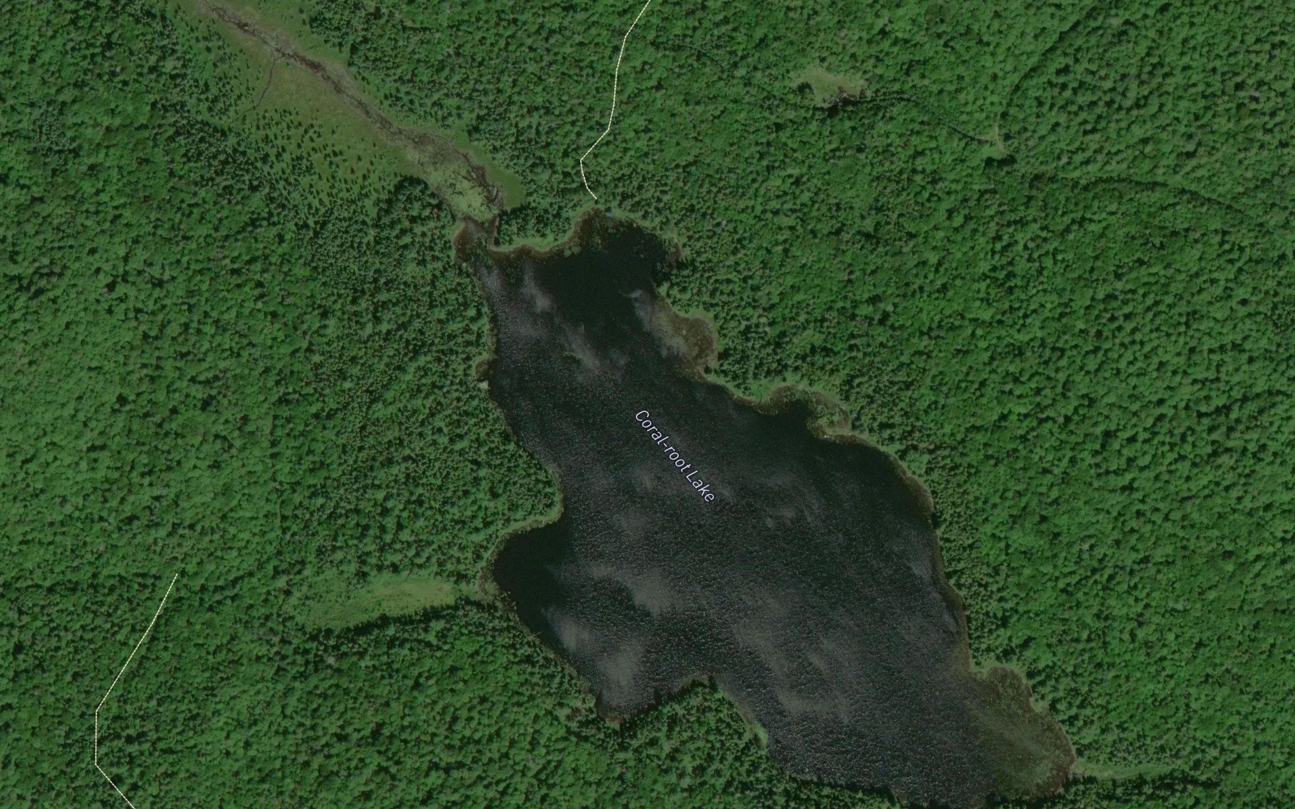 Coral-root Lake