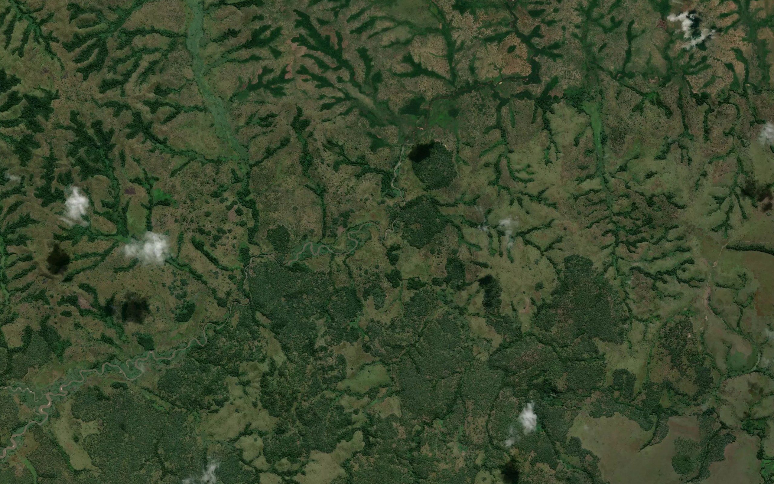 Kibowe