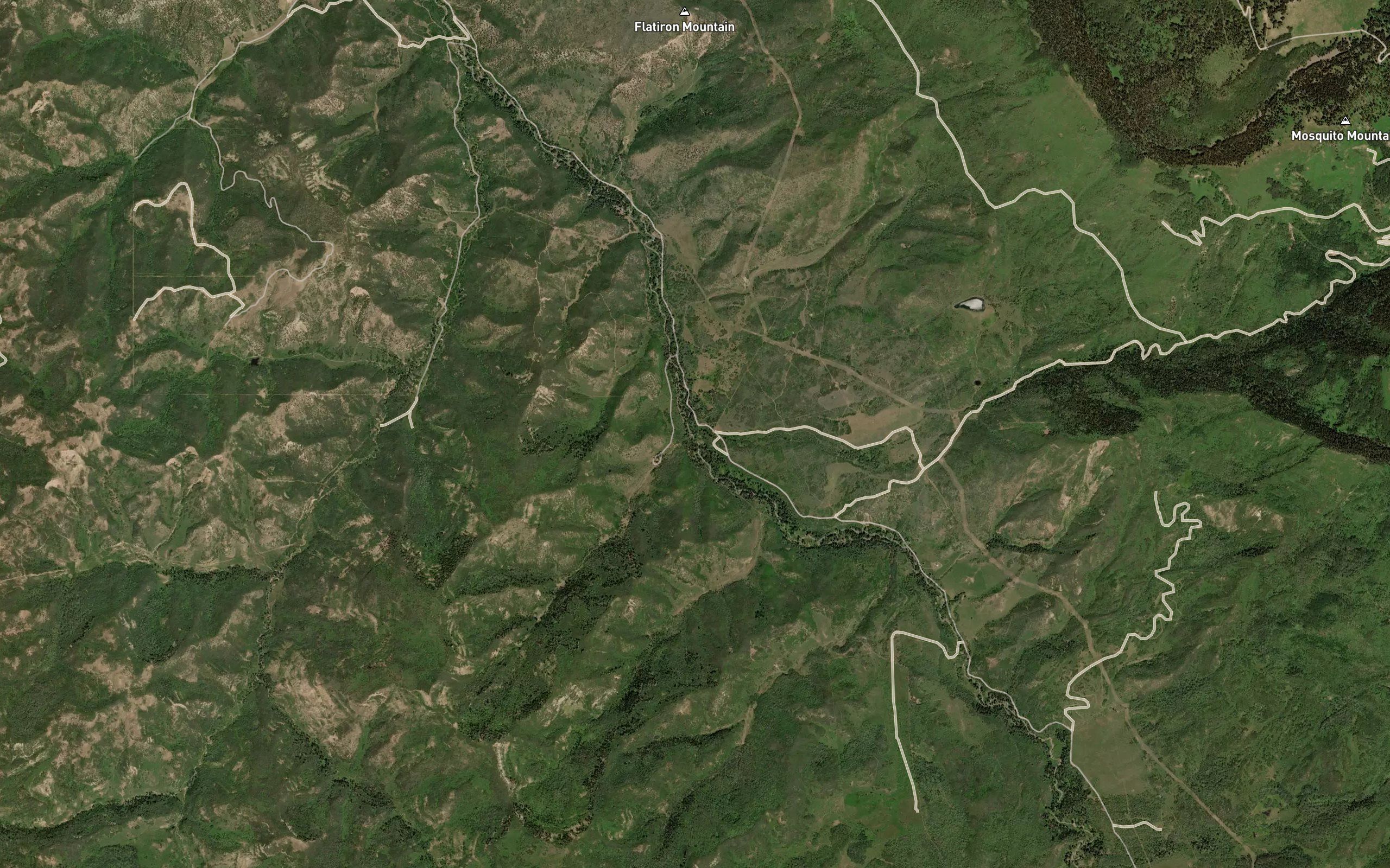 Mosquito Creek