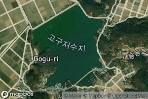 Gogujeosuji