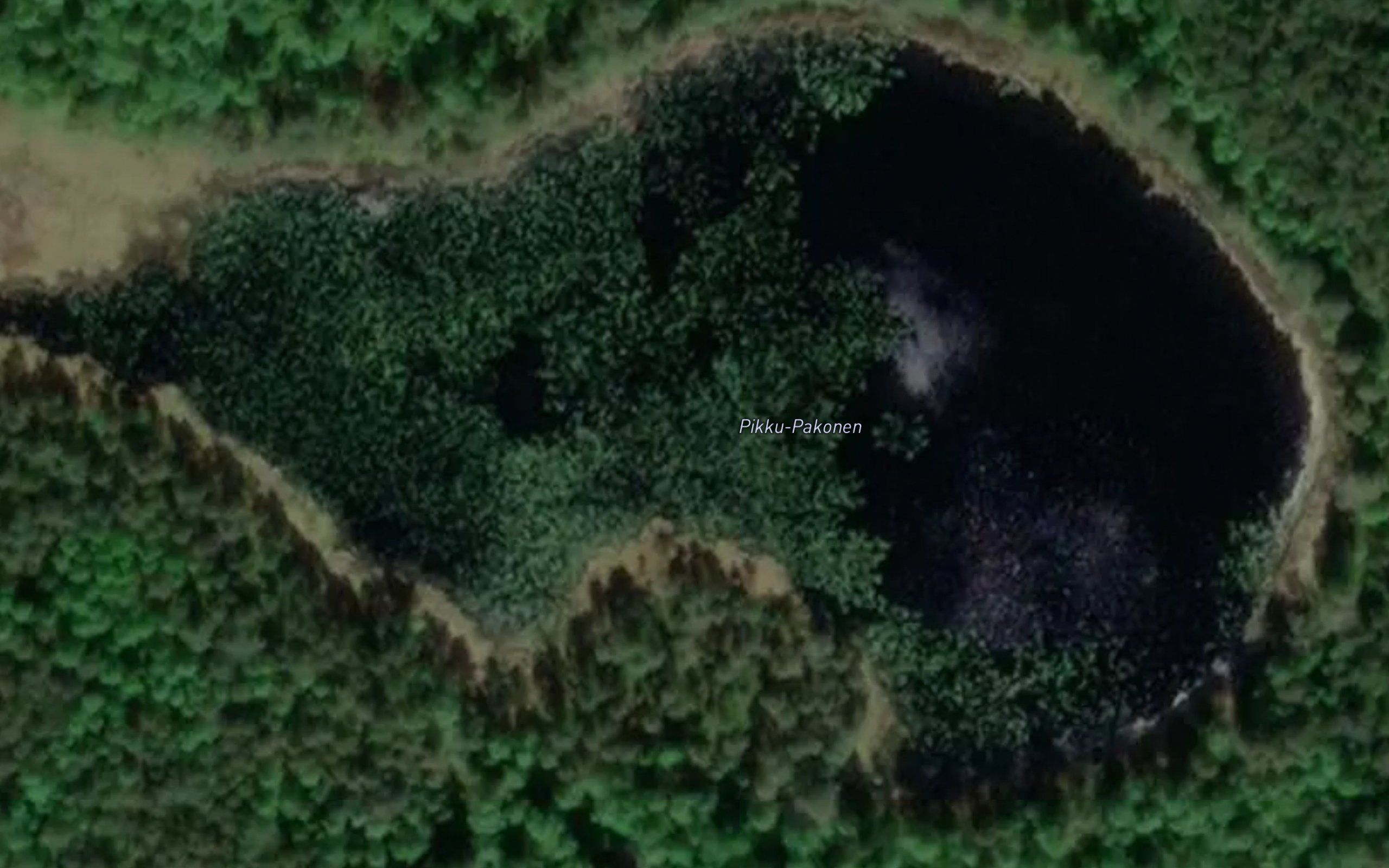 Pikku-Pakonen