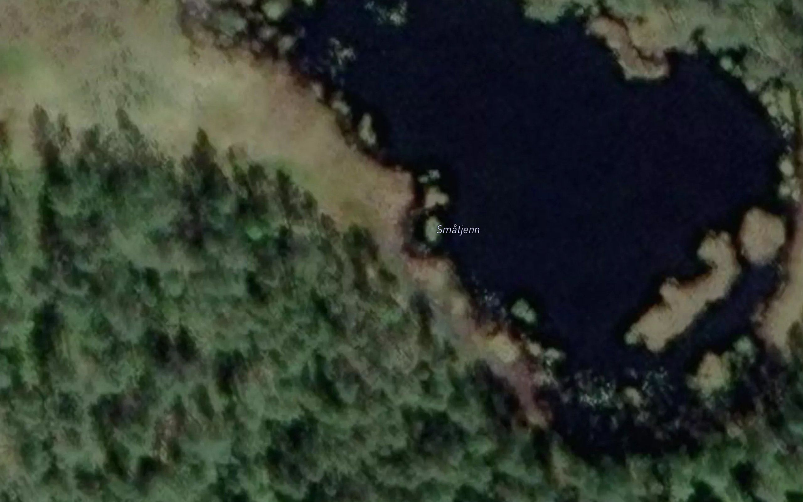 Smatjern