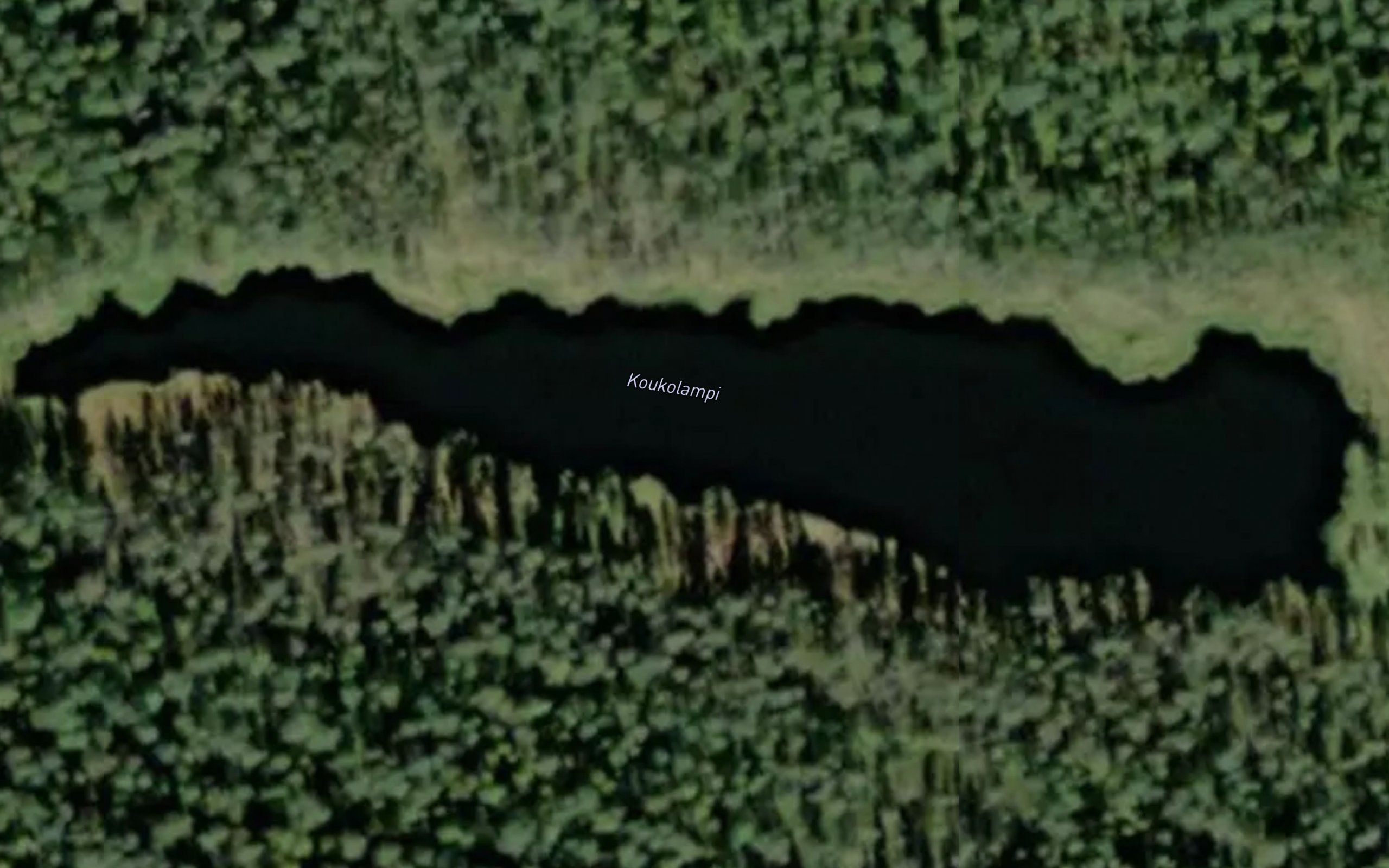 Koukolampi