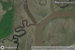 Bayou Sara