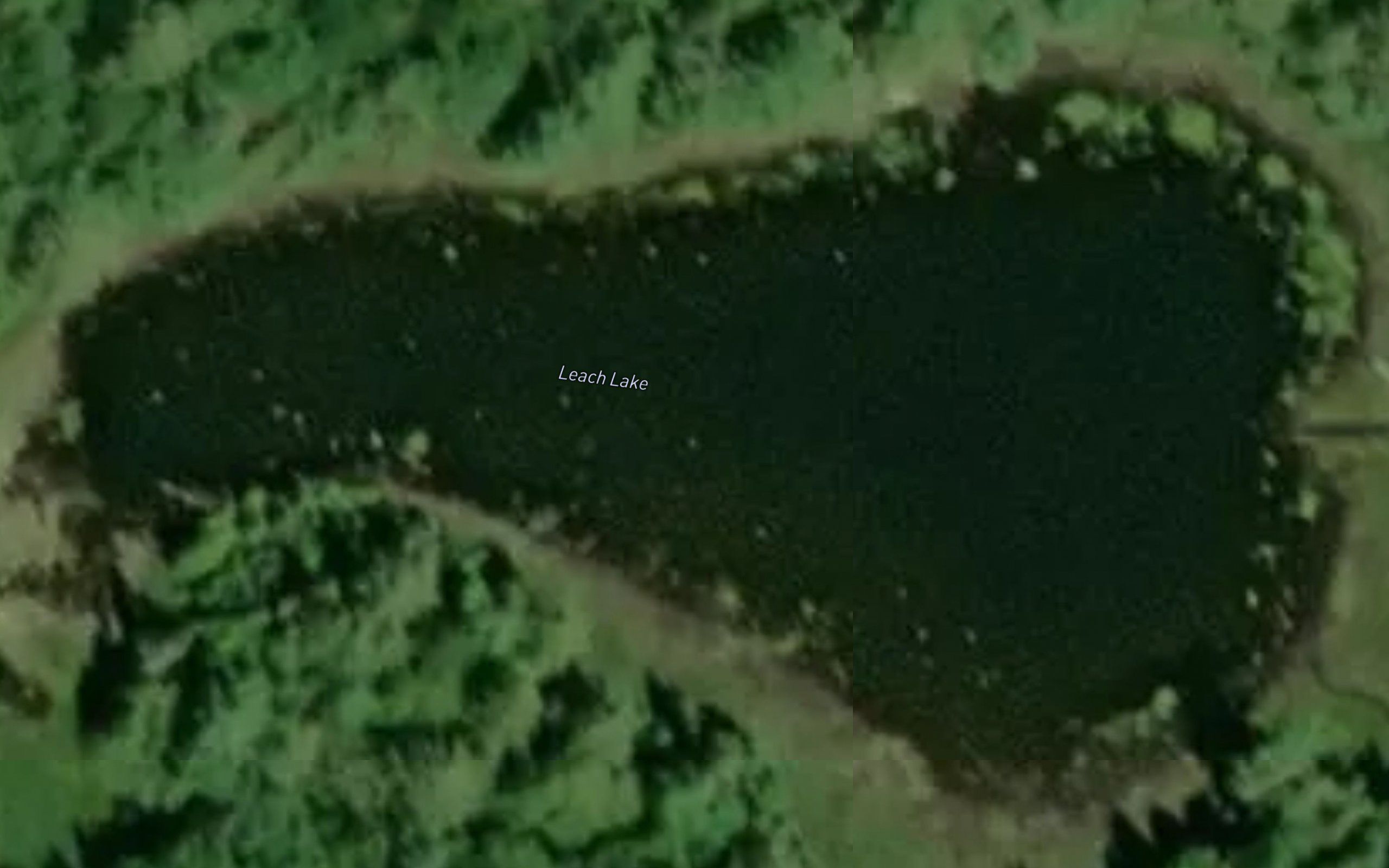Leach Lake