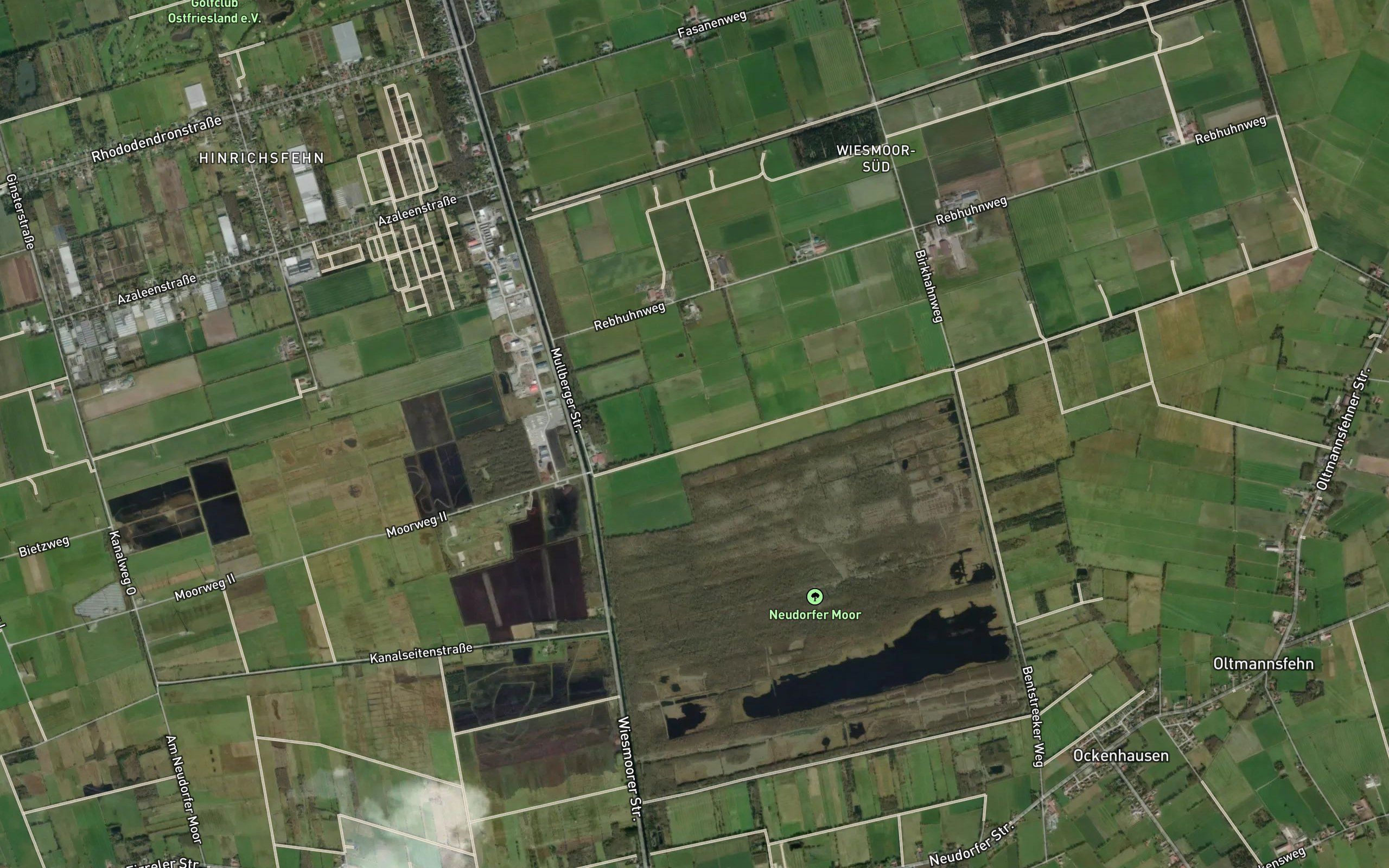 Riesmeer