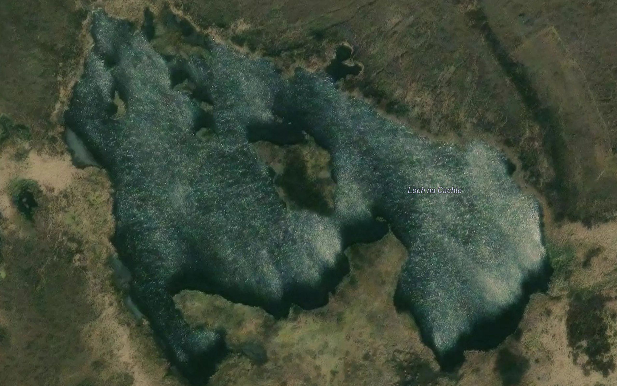 Loch na Cachle