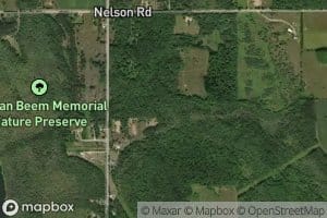 Black Kettle Creek