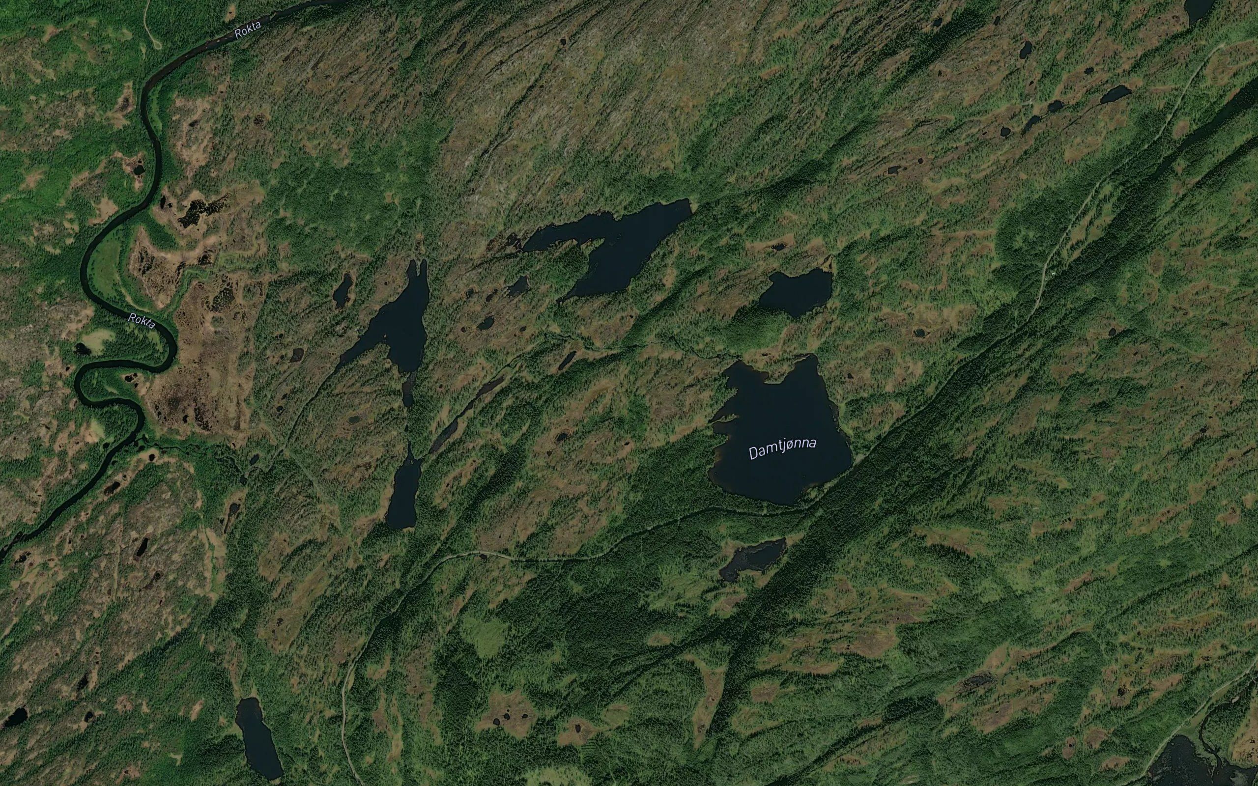 Sagbekktjonna