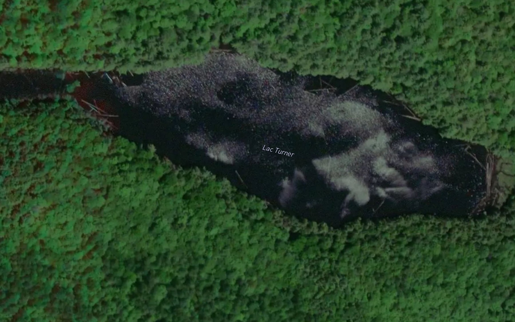 Satellite map of the Lac Turner