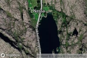 Nesvagen