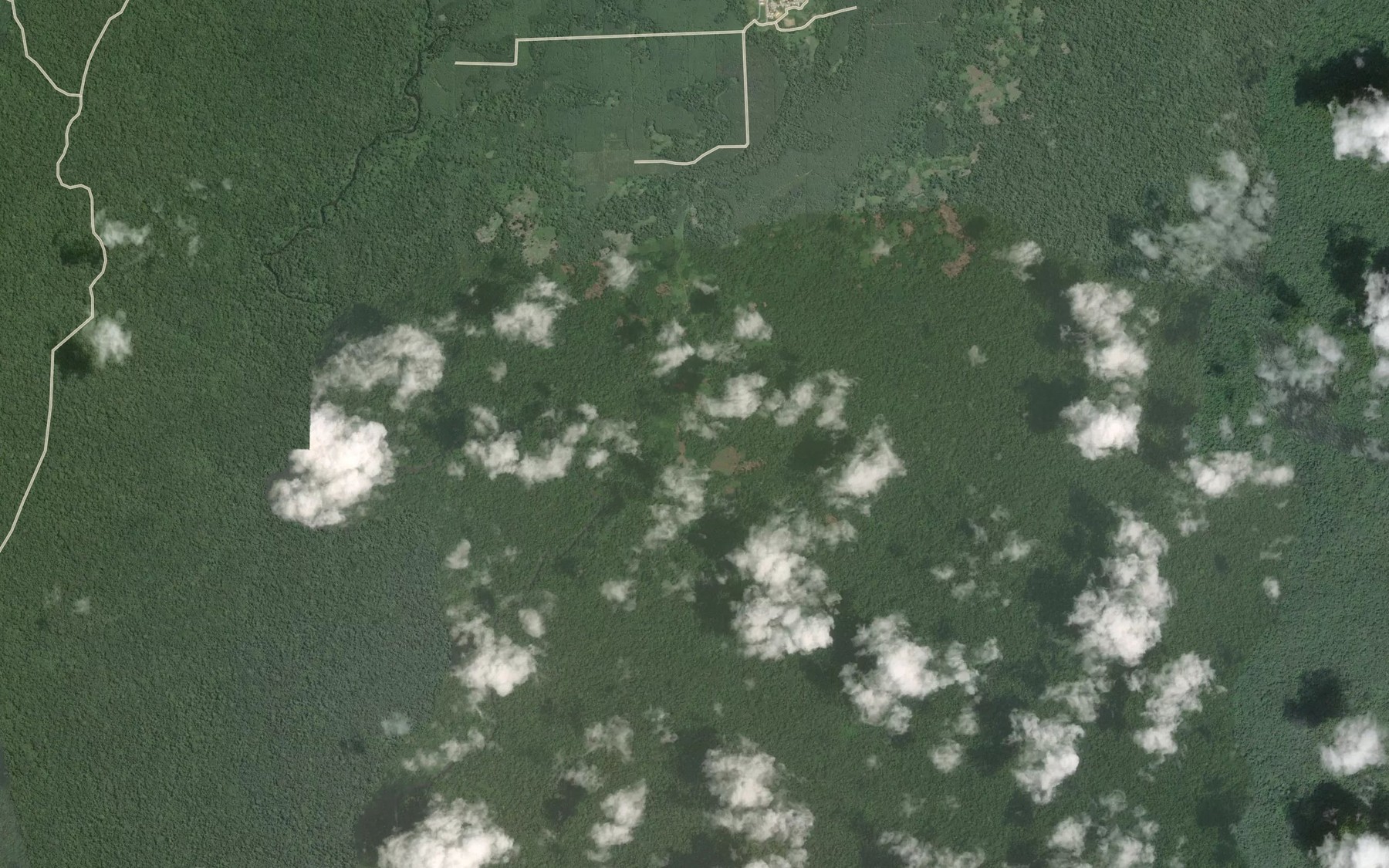 Satellite map of the Assam